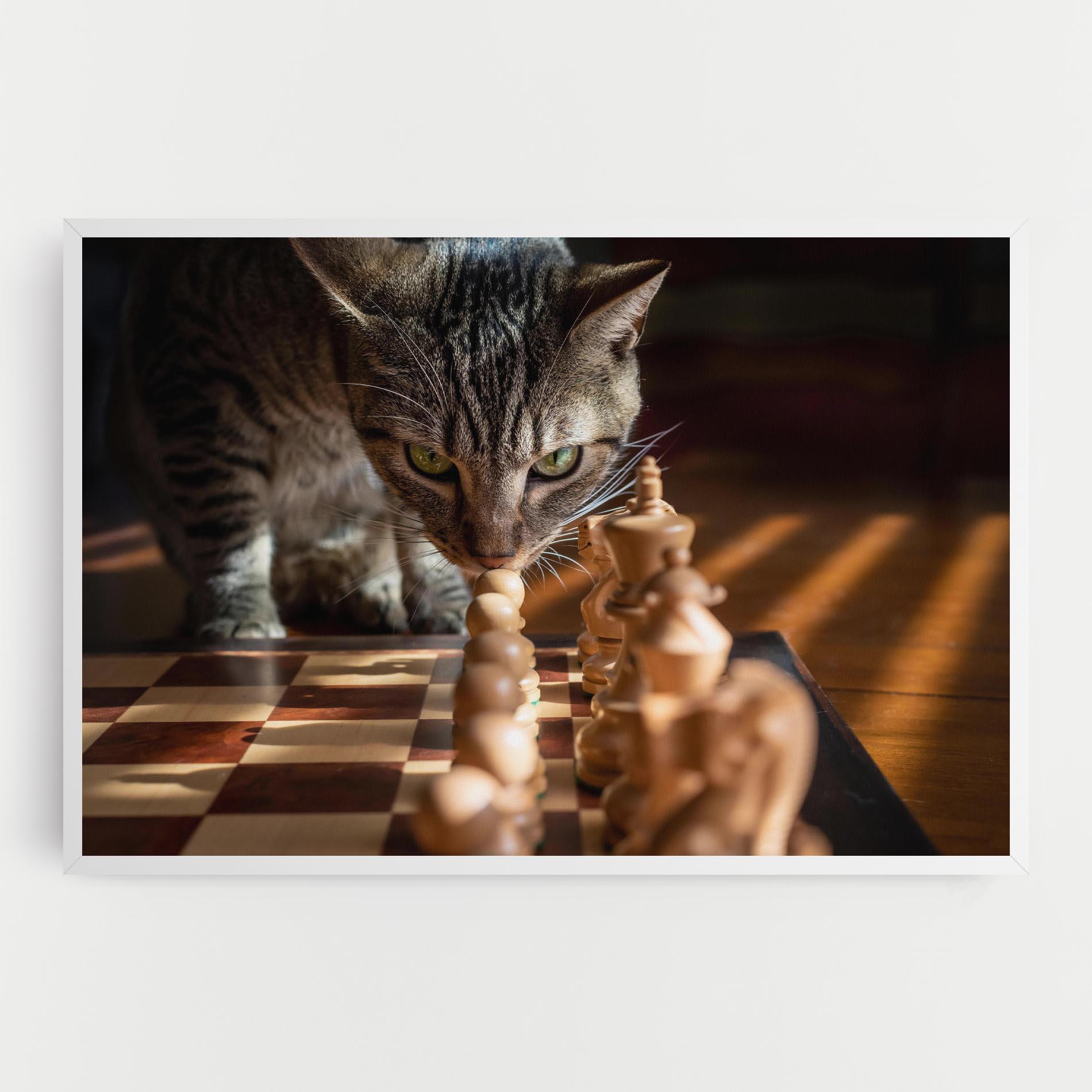 Vászonkép Chess Cat mockup 0
