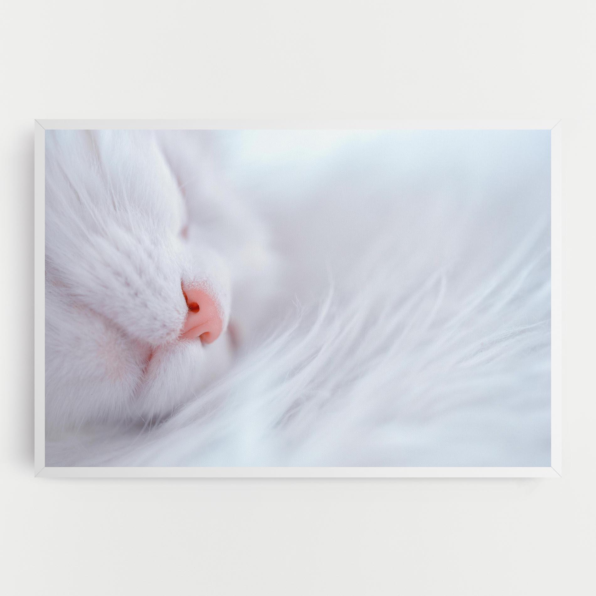Vászonkép Dreamy White Cat mockup 0
