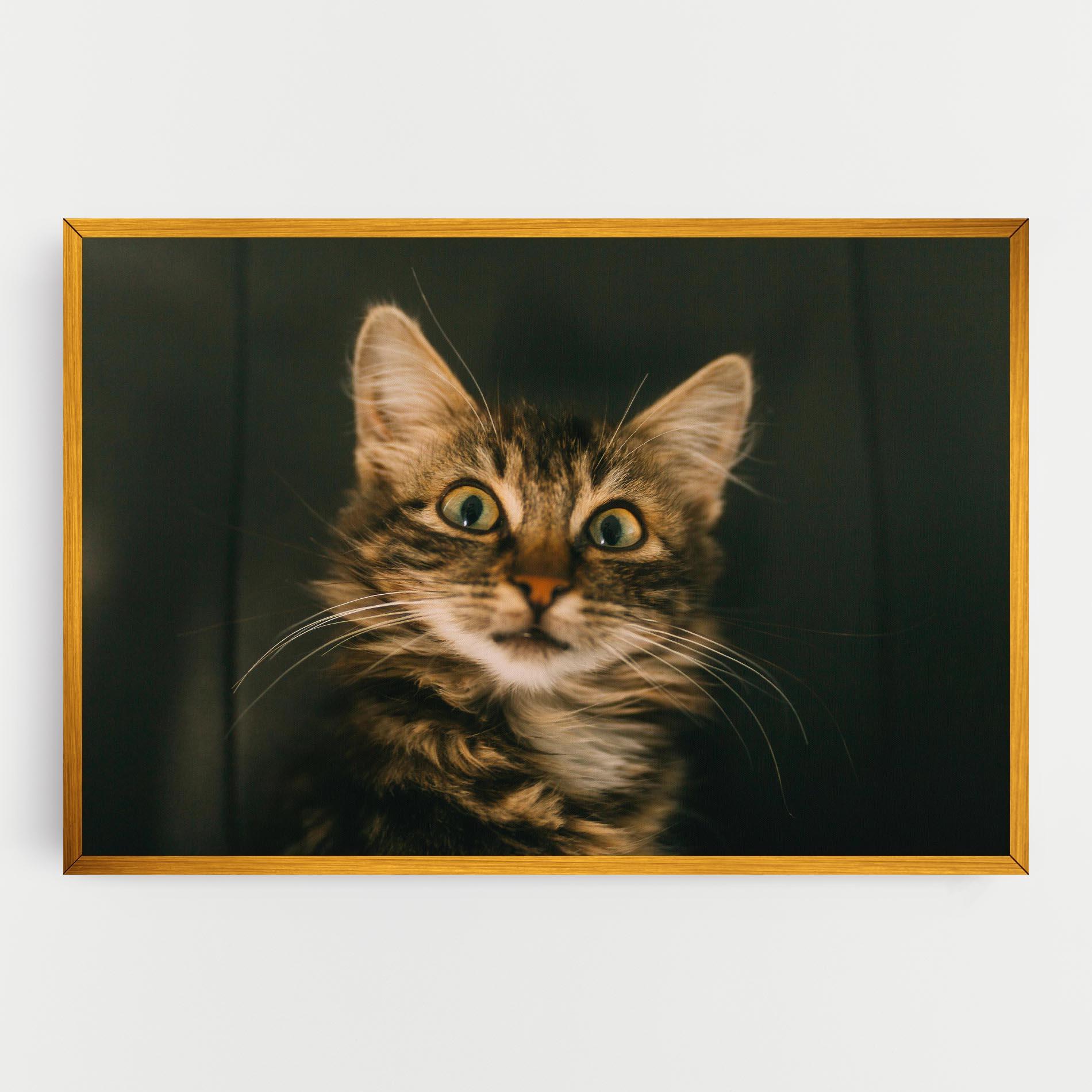 Vászonkép Amazed Cat mockup 0