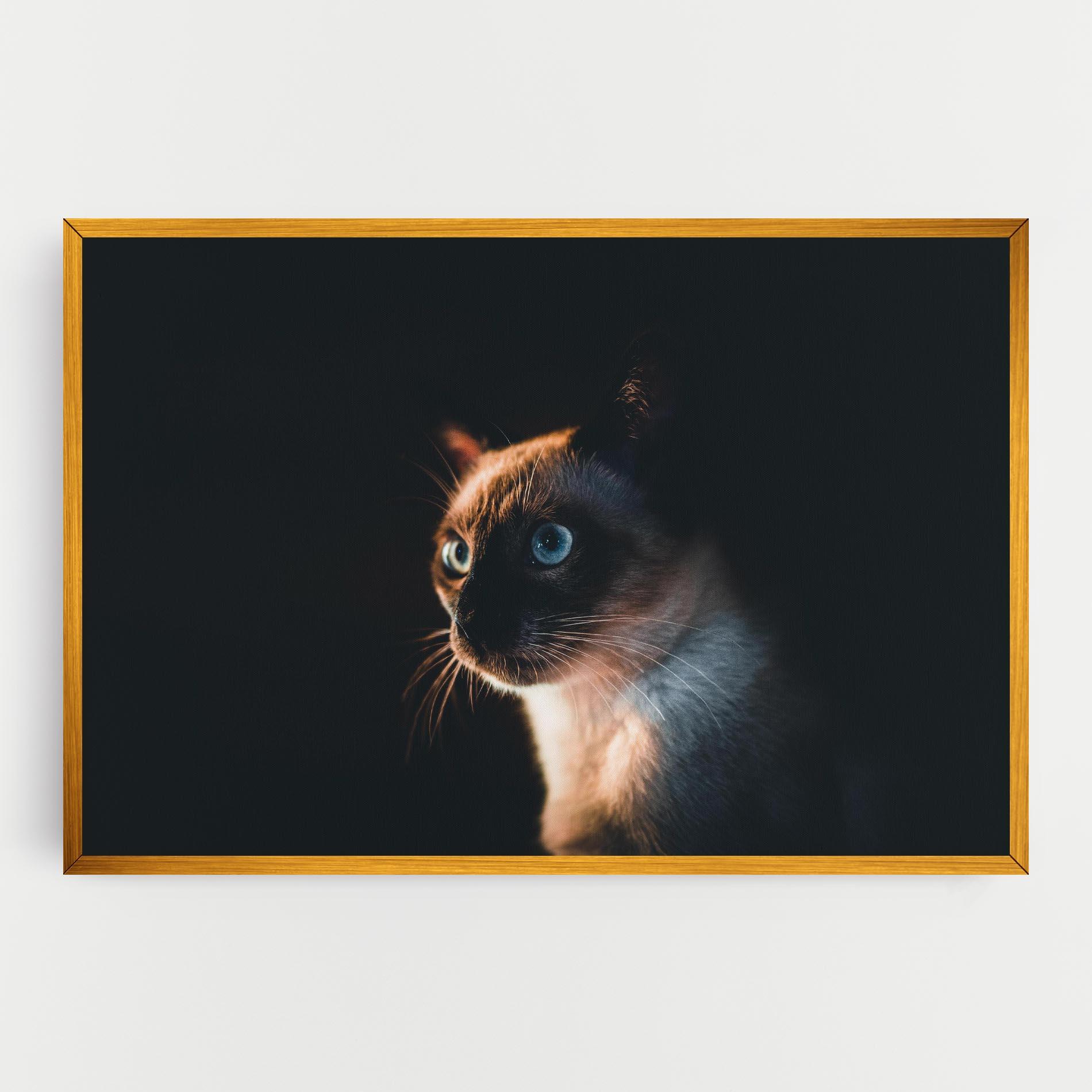 Vászonkép Blue Eyes Cat In Dark mockup 0