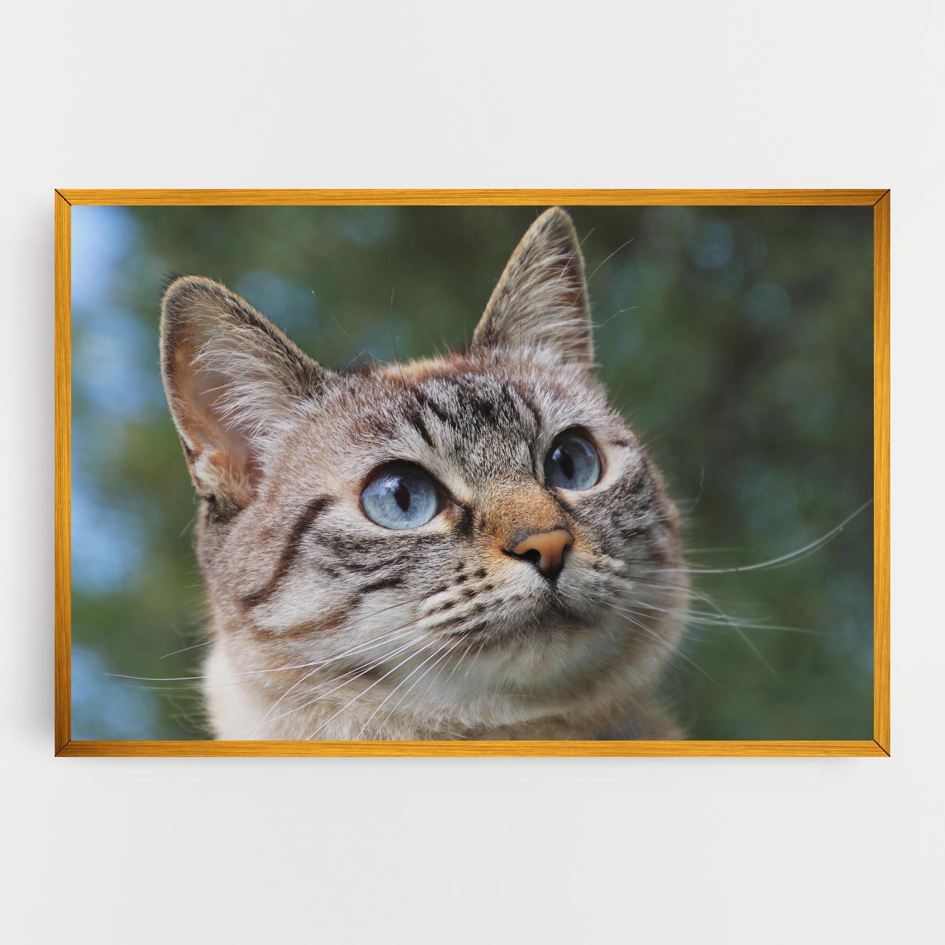 Vászonkép Blue Eyes Cutie mockup 0