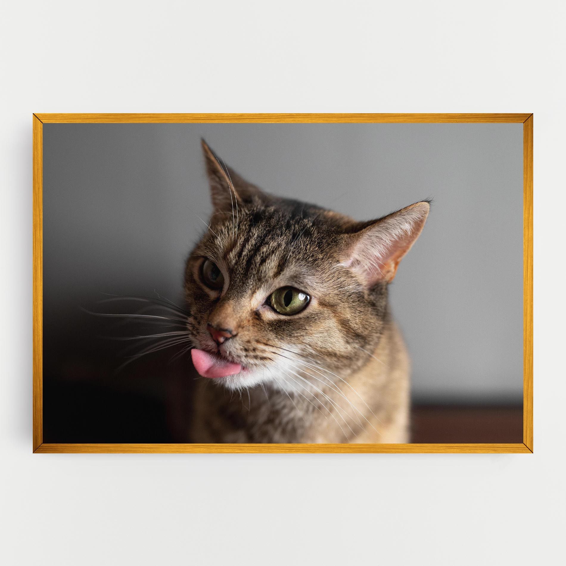 Brown Green Eyes Cat mockup 0