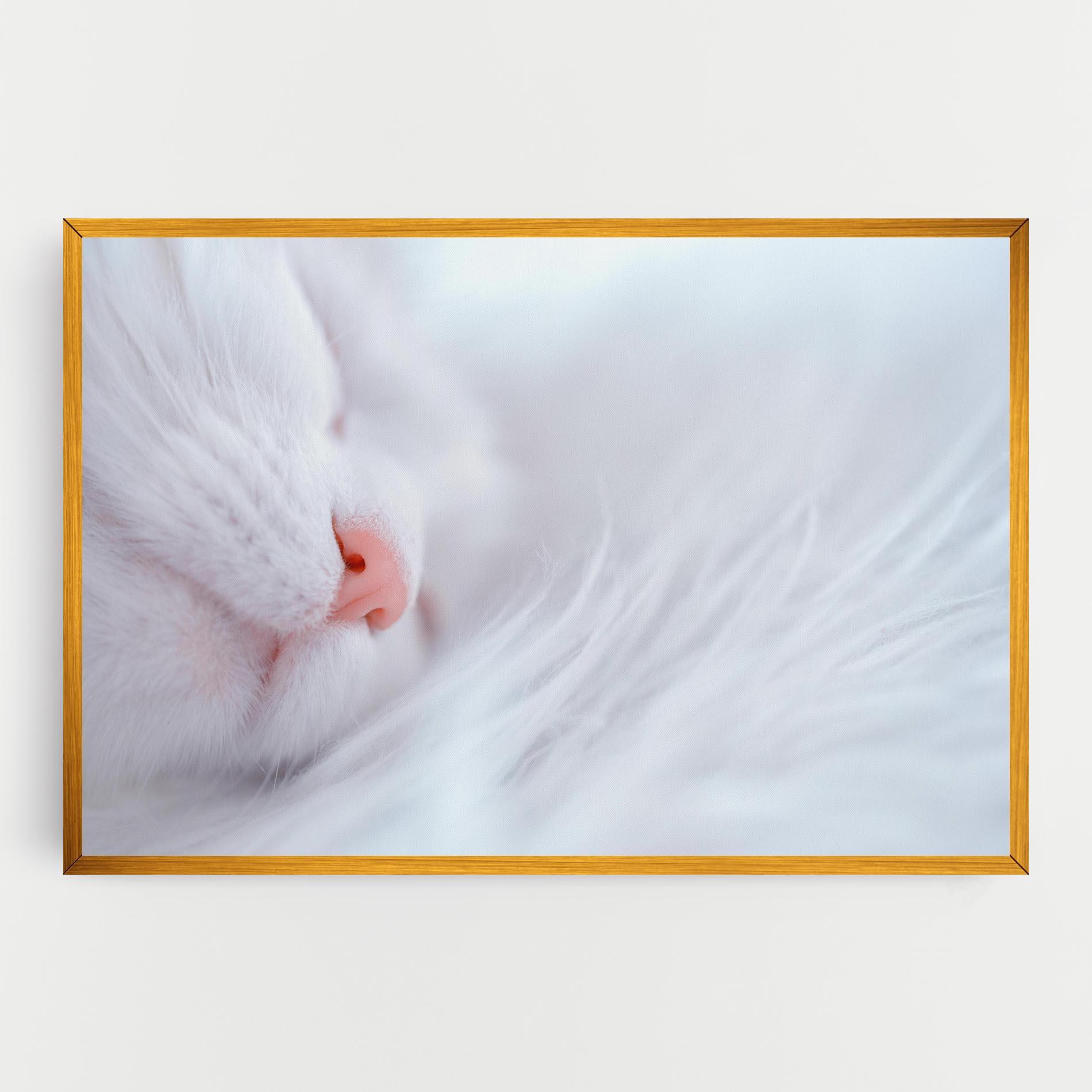 Vászonkép Dreamy White Cat mockup 0