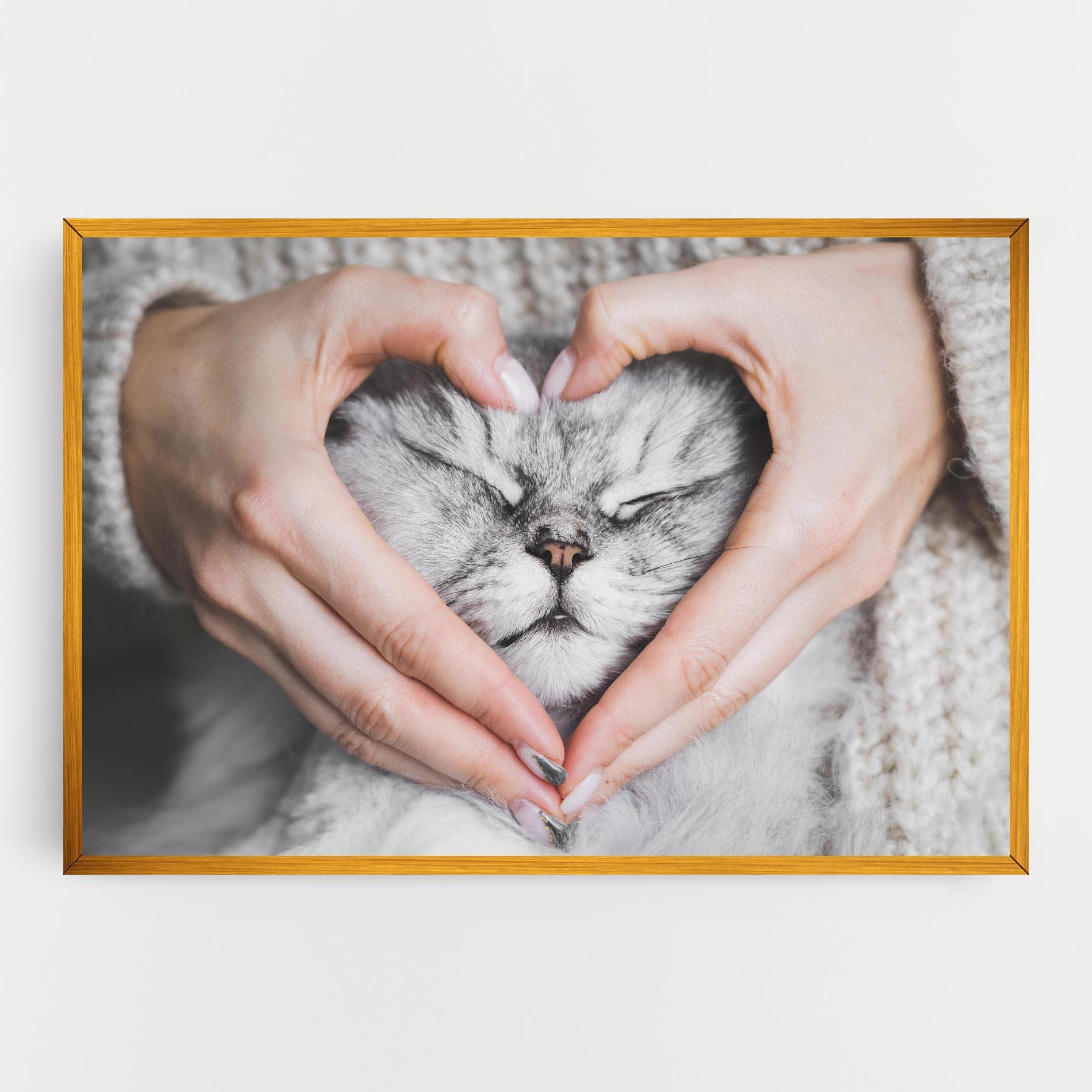 Vászonkép Lovely Cat mockup 0