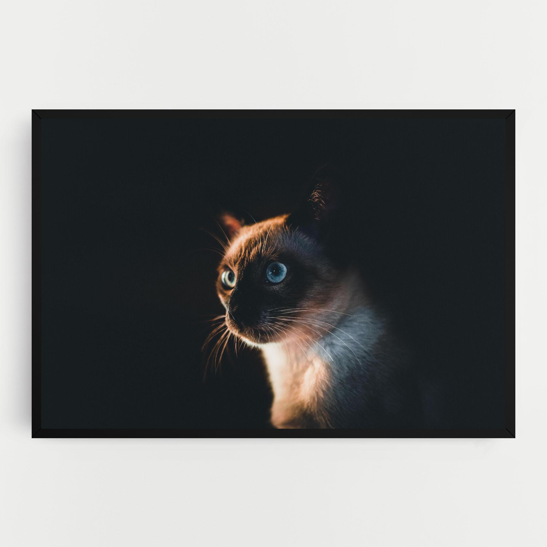 Vászonkép Blue Eyes Cat In Dark mockup 0