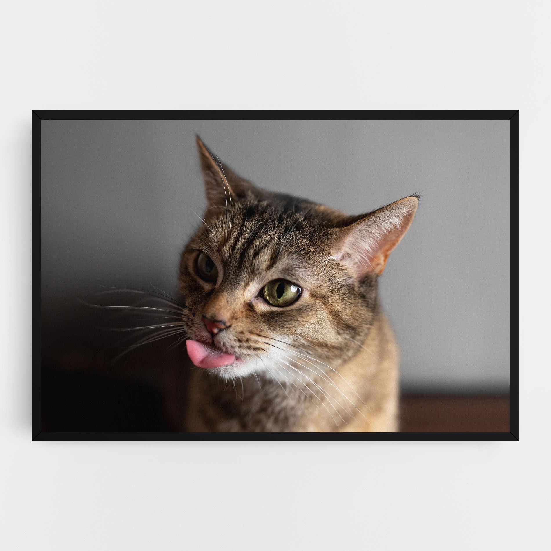 Brown Green Eyes Cat mockup 0