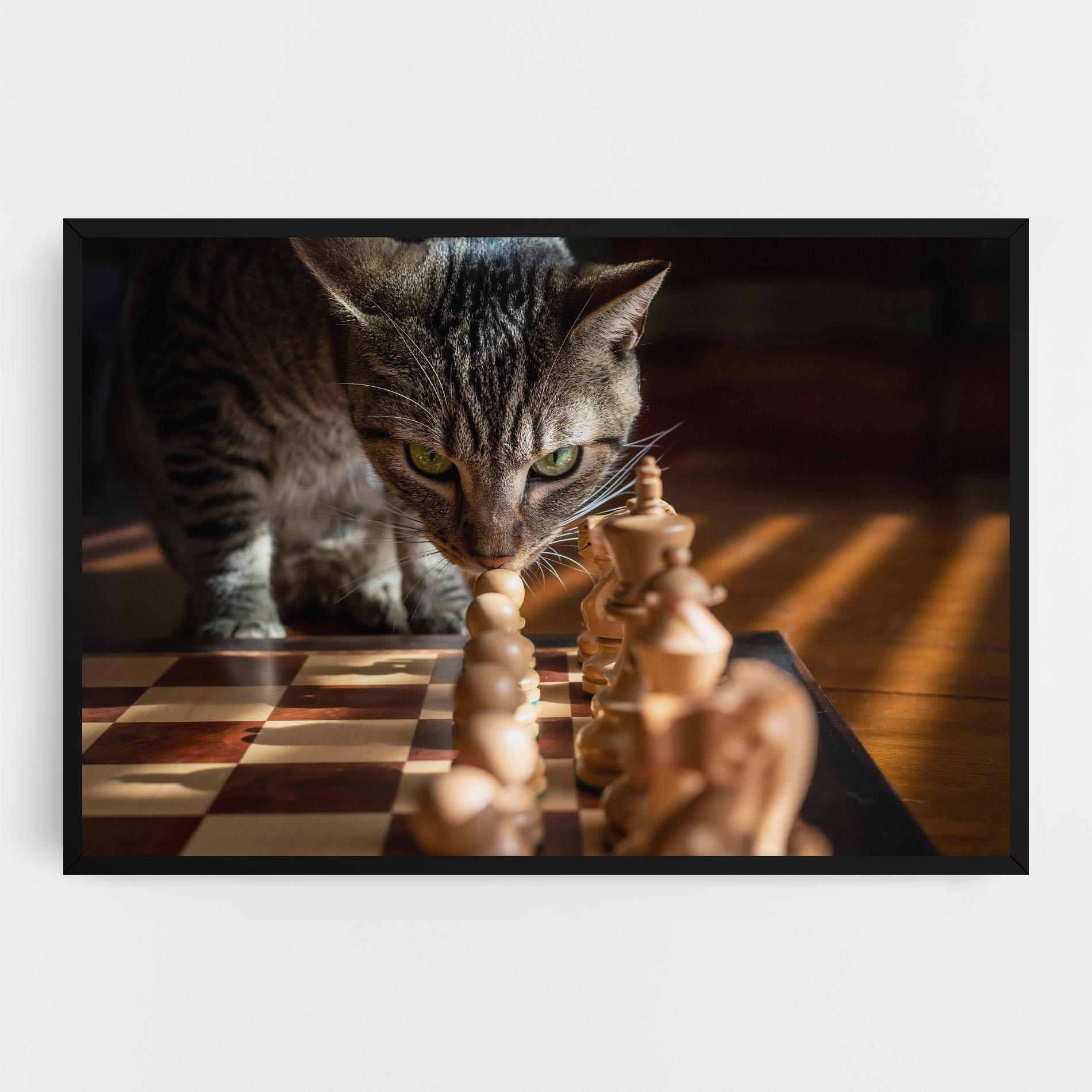 Vászonkép Chess Cat mockup 0
