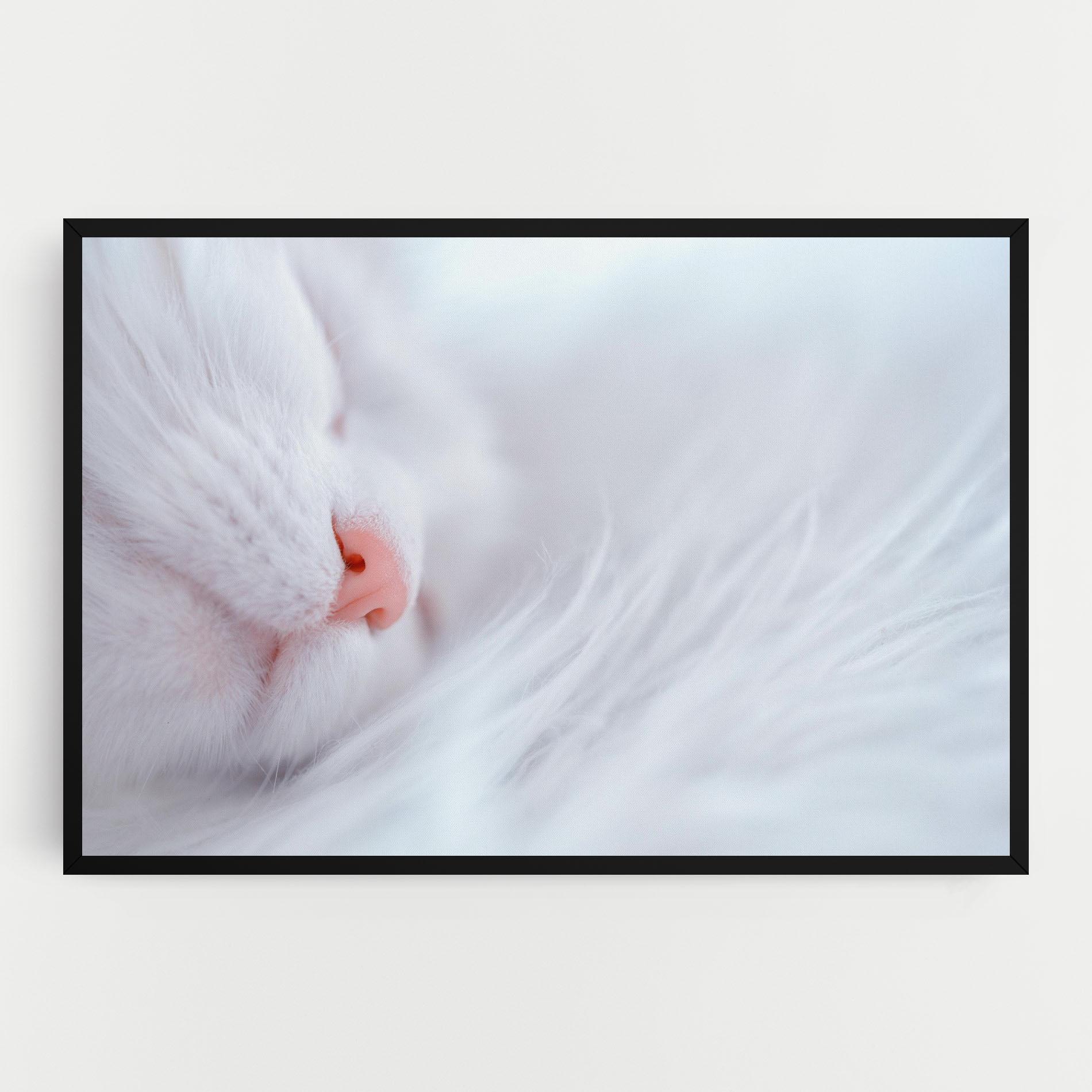Vászonkép Dreamy White Cat mockup 0