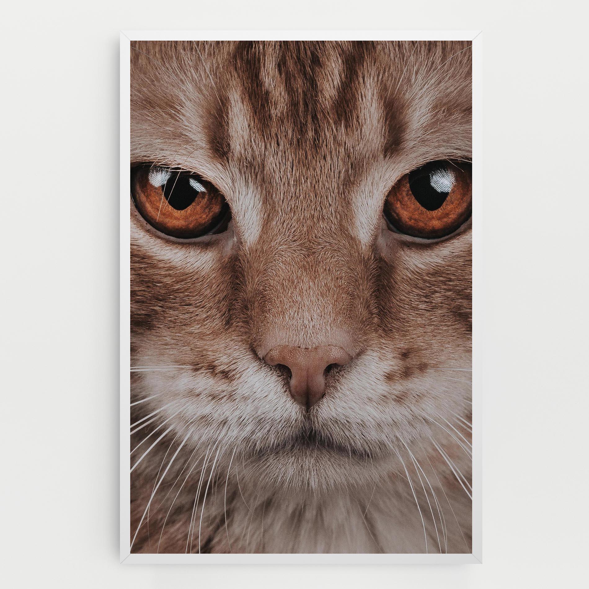 Vászonkép Fire Eyes Cat mockup 0