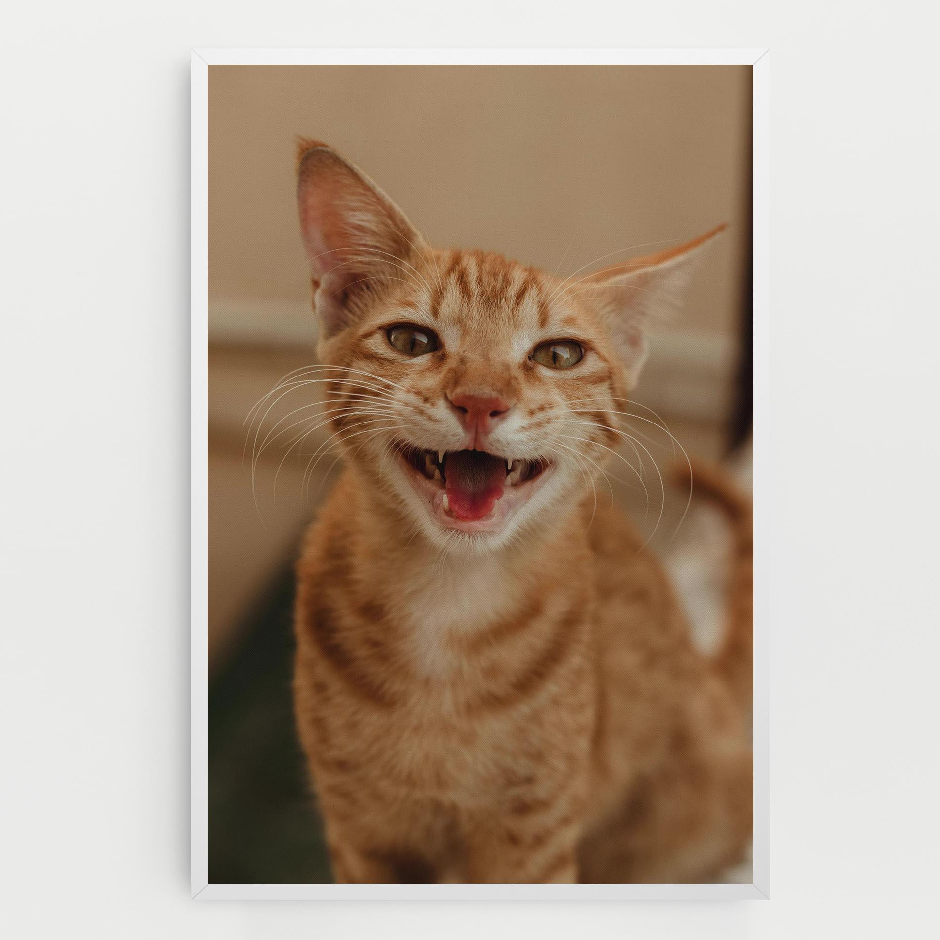 Vászonkép Orange Cat Smiling mockup 0
