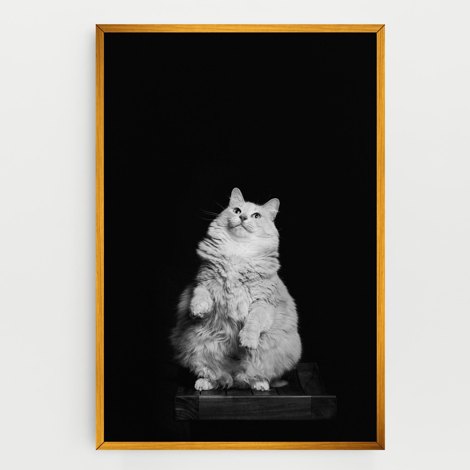 Vászonkép Big Fluffy Cat mockup 0