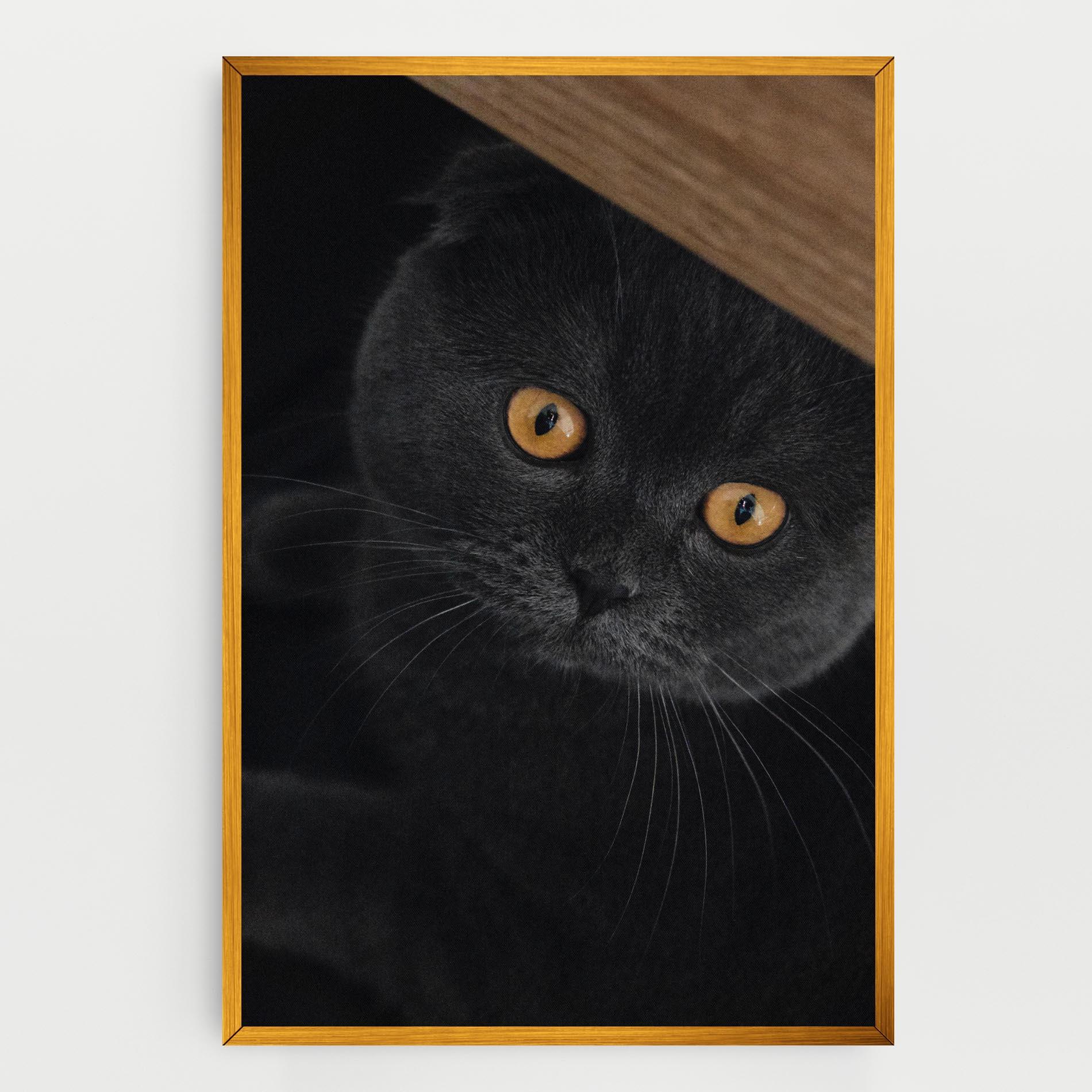 Vászonkép Grey Cat With Orange Eyes mockup 0