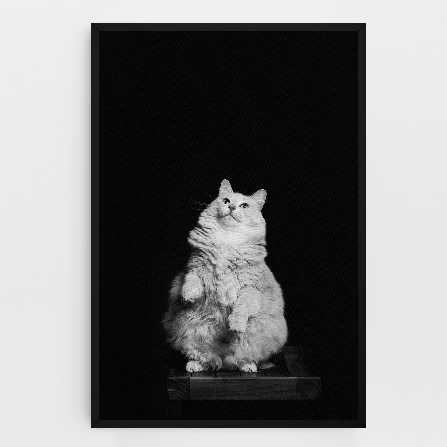 Vászonkép Big Fluffy Cat mockup 0