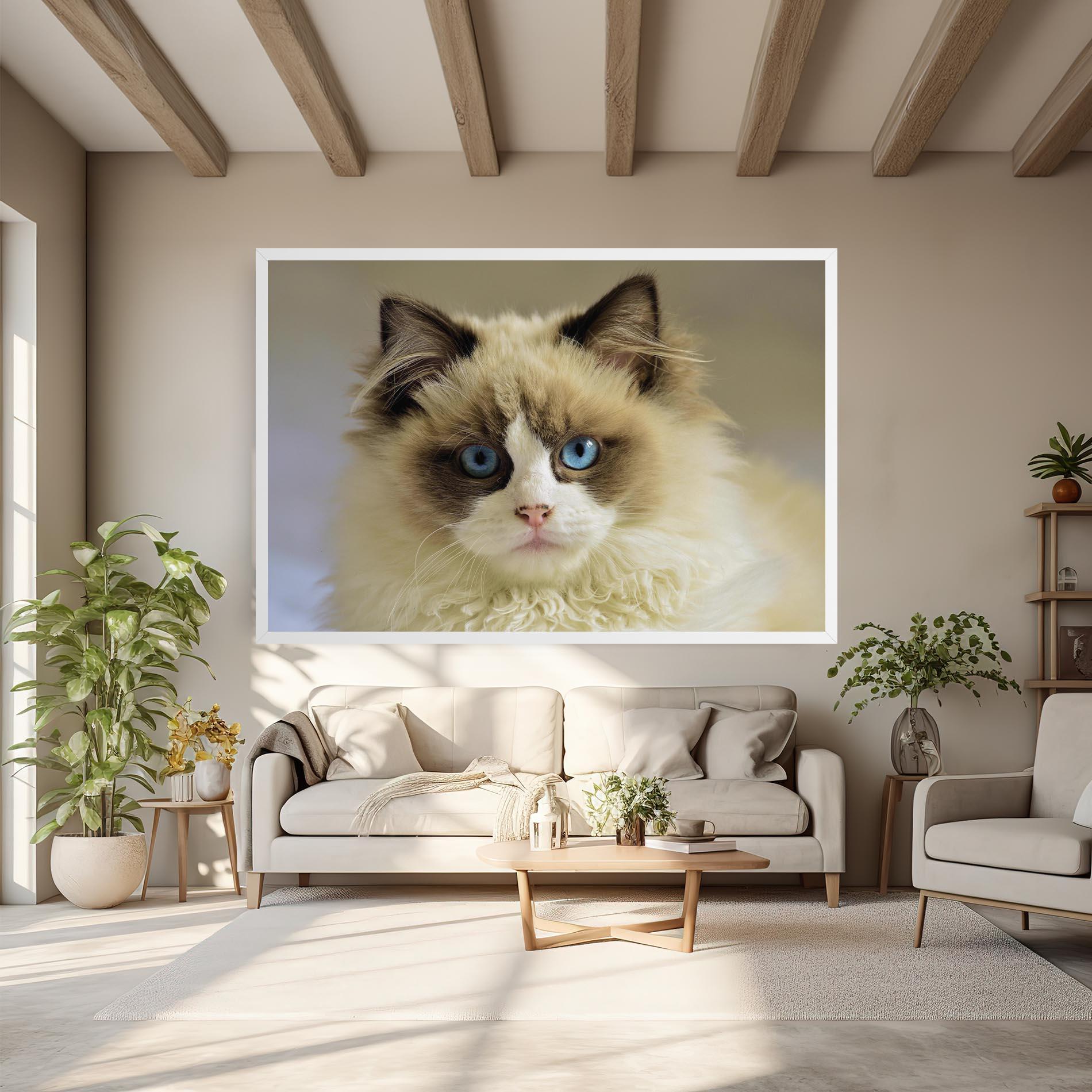 Vászonkép Interesting Blue Eyes Cat mockup 6