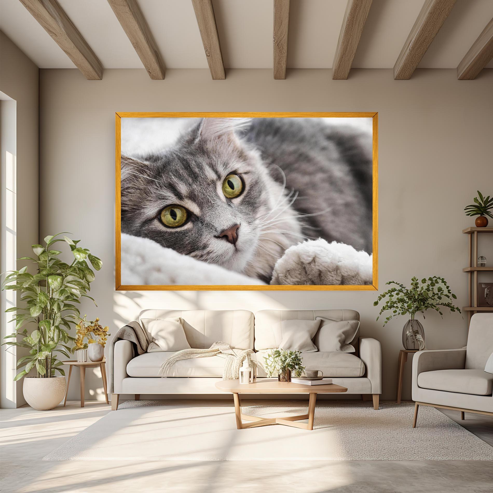 Vászonkép Grey Fluffy Cat mockup 6
