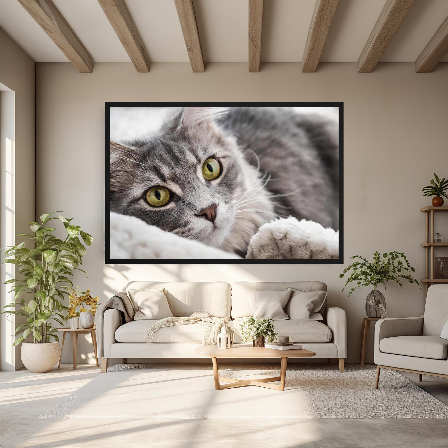 Vászonkép Grey Fluffy Cat mockup 6