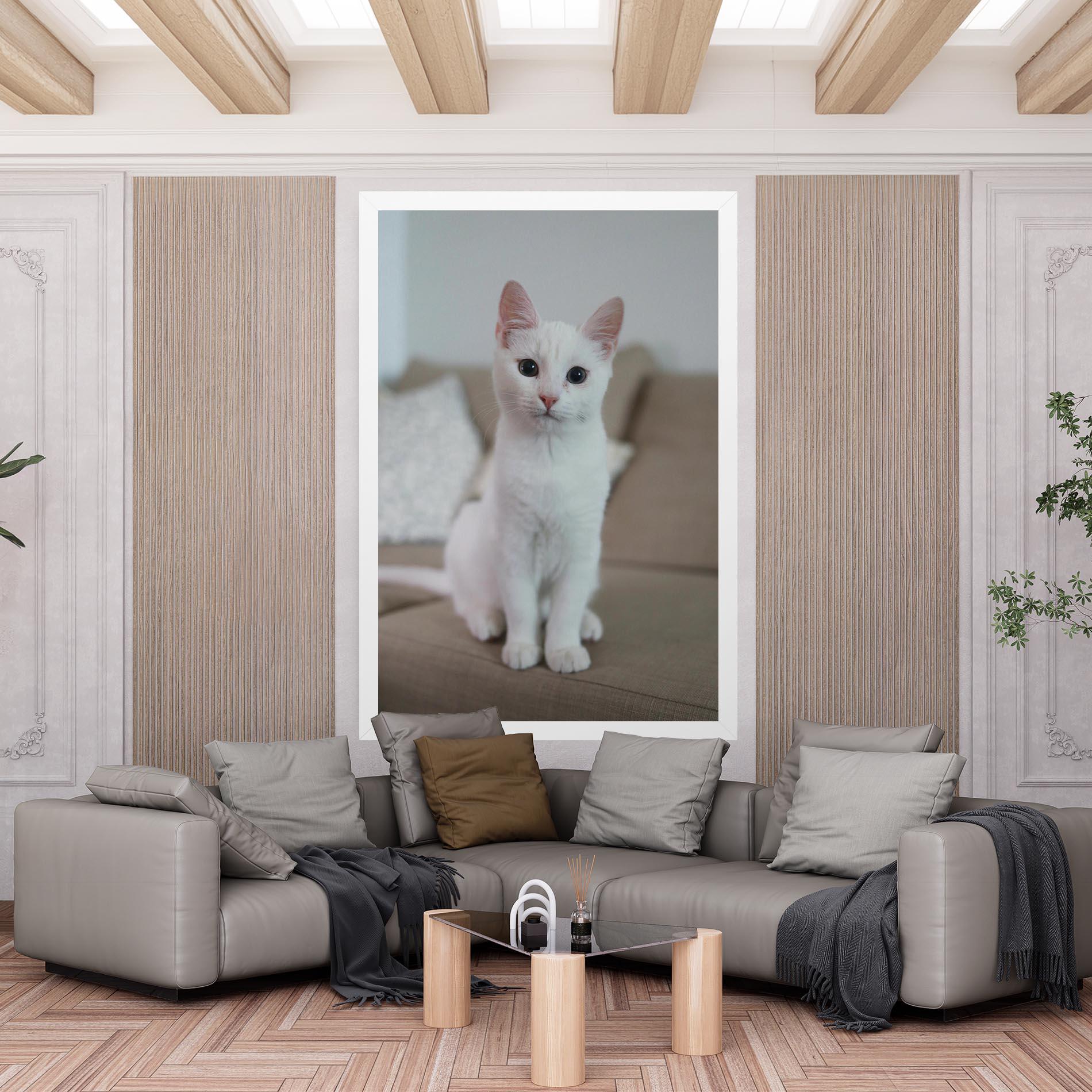 Vászonkép Beautiful White Cat mockup 6