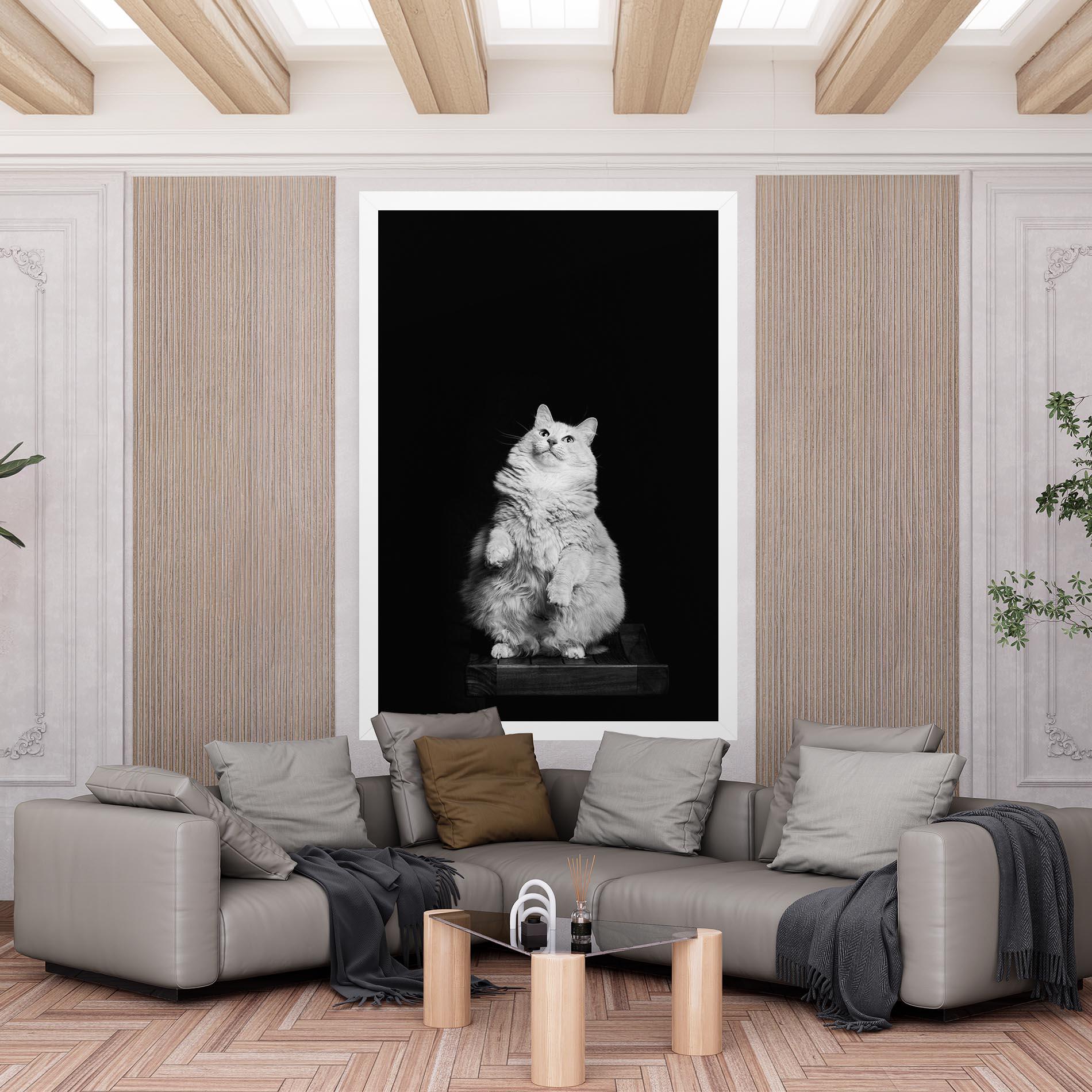 Vászonkép Big Fluffy Cat mockup 6