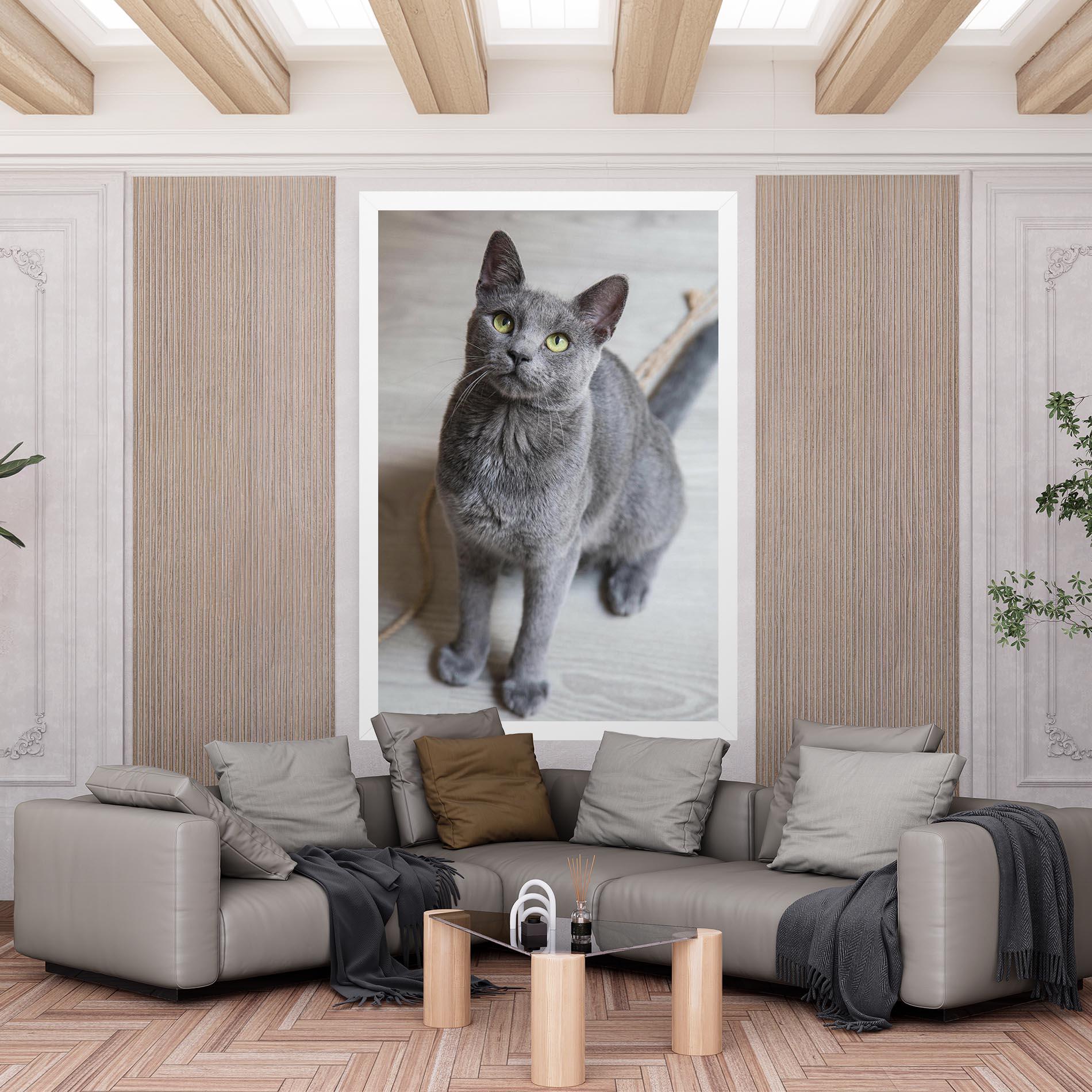 Vászonkép Grey Green Cat Eyes mockup 6