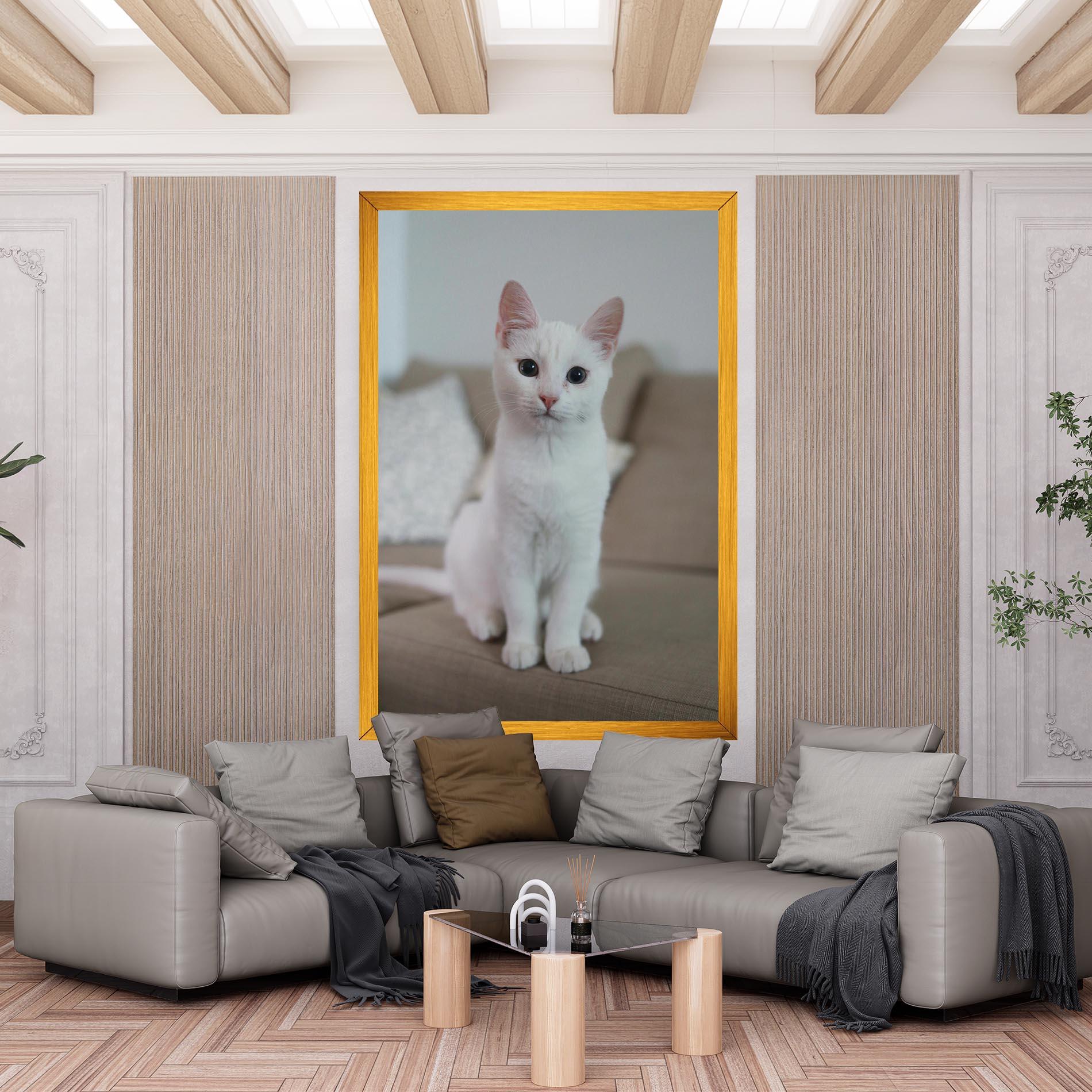 Vászonkép Beautiful White Cat mockup 6