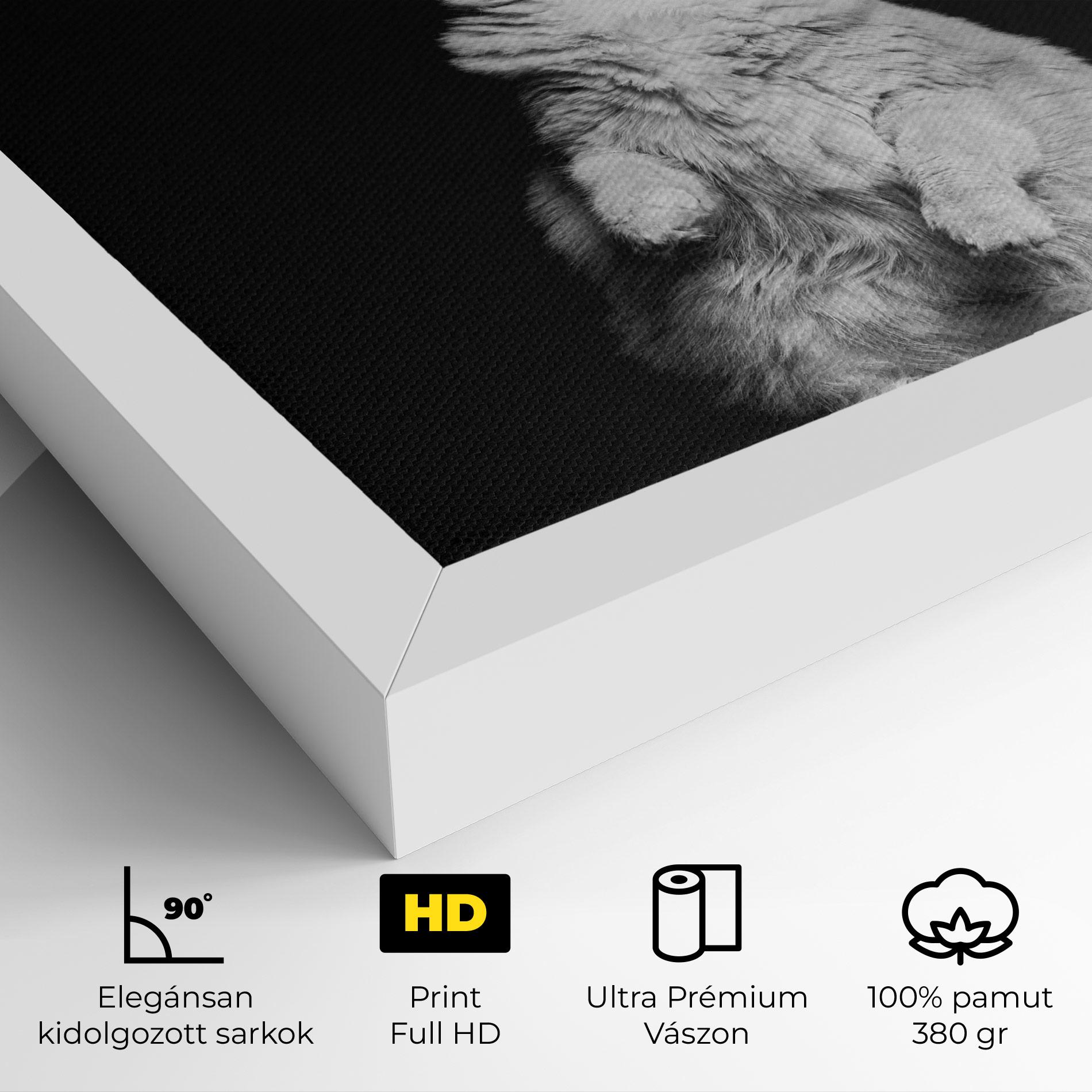 Vászonkép Big Fluffy Cat mockup 4