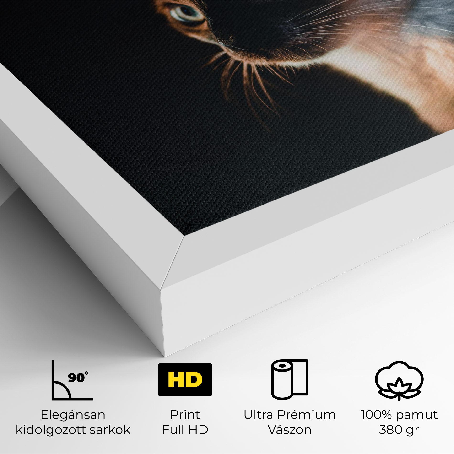 Vászonkép Blue Eyes Cat In Dark mockup 4