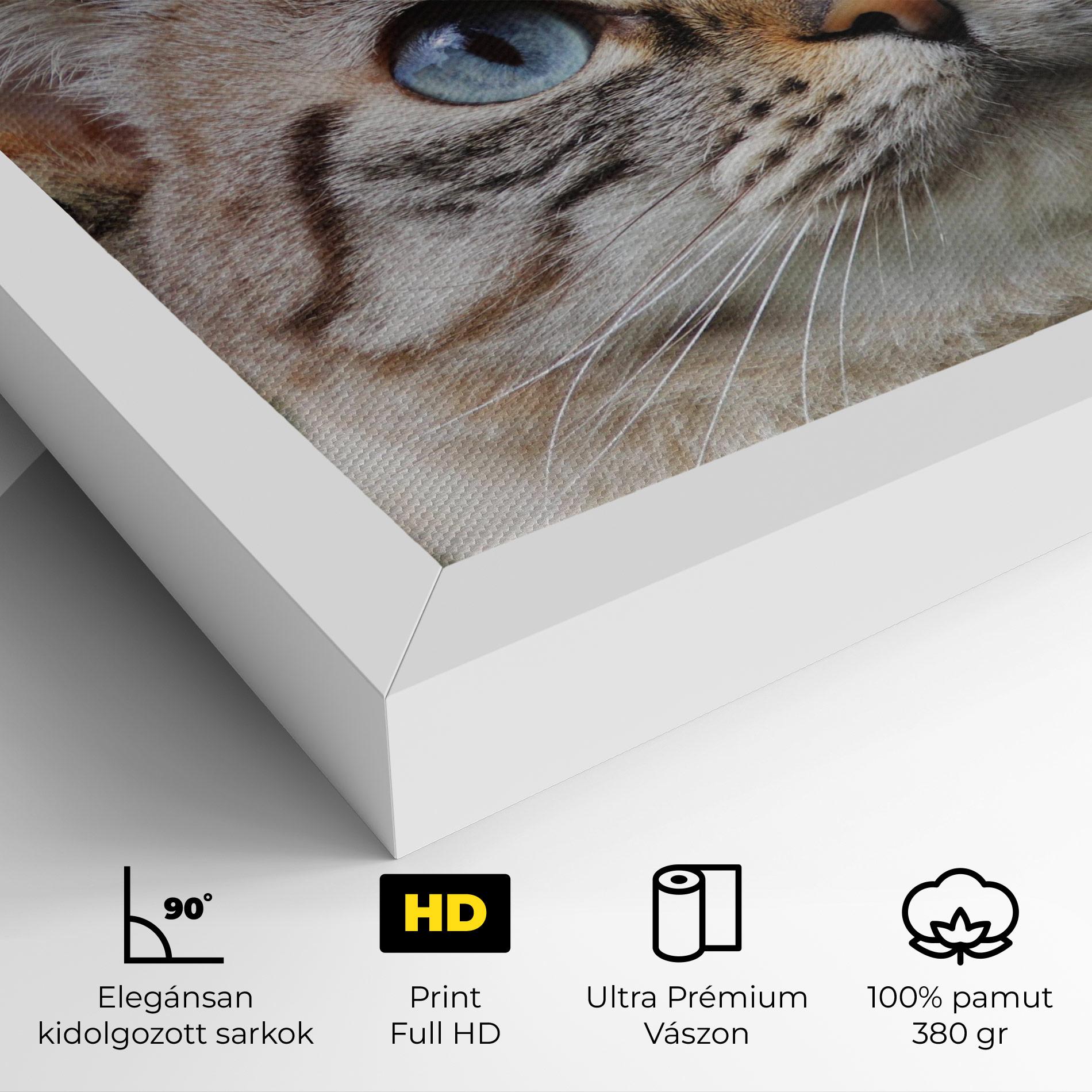 Vászonkép Blue Eyes Cutie mockup 4