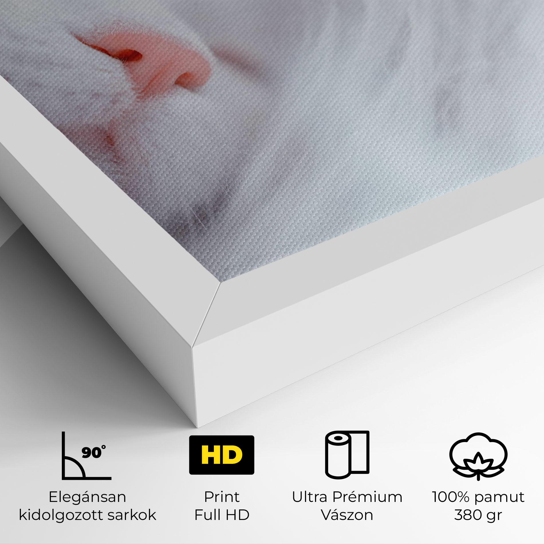 Vászonkép Dreamy White Cat mockup 4