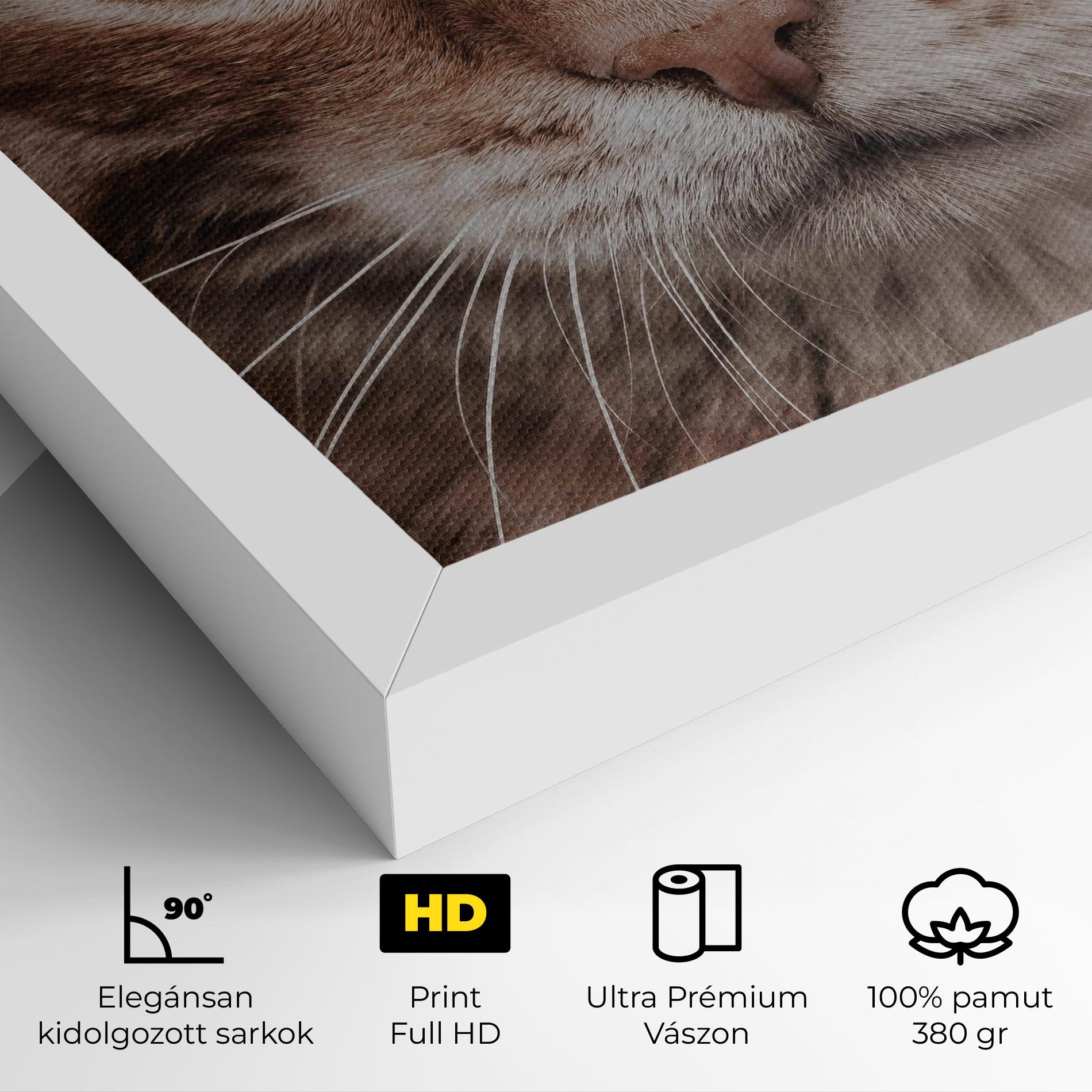Vászonkép Fire Eyes Cat mockup 4