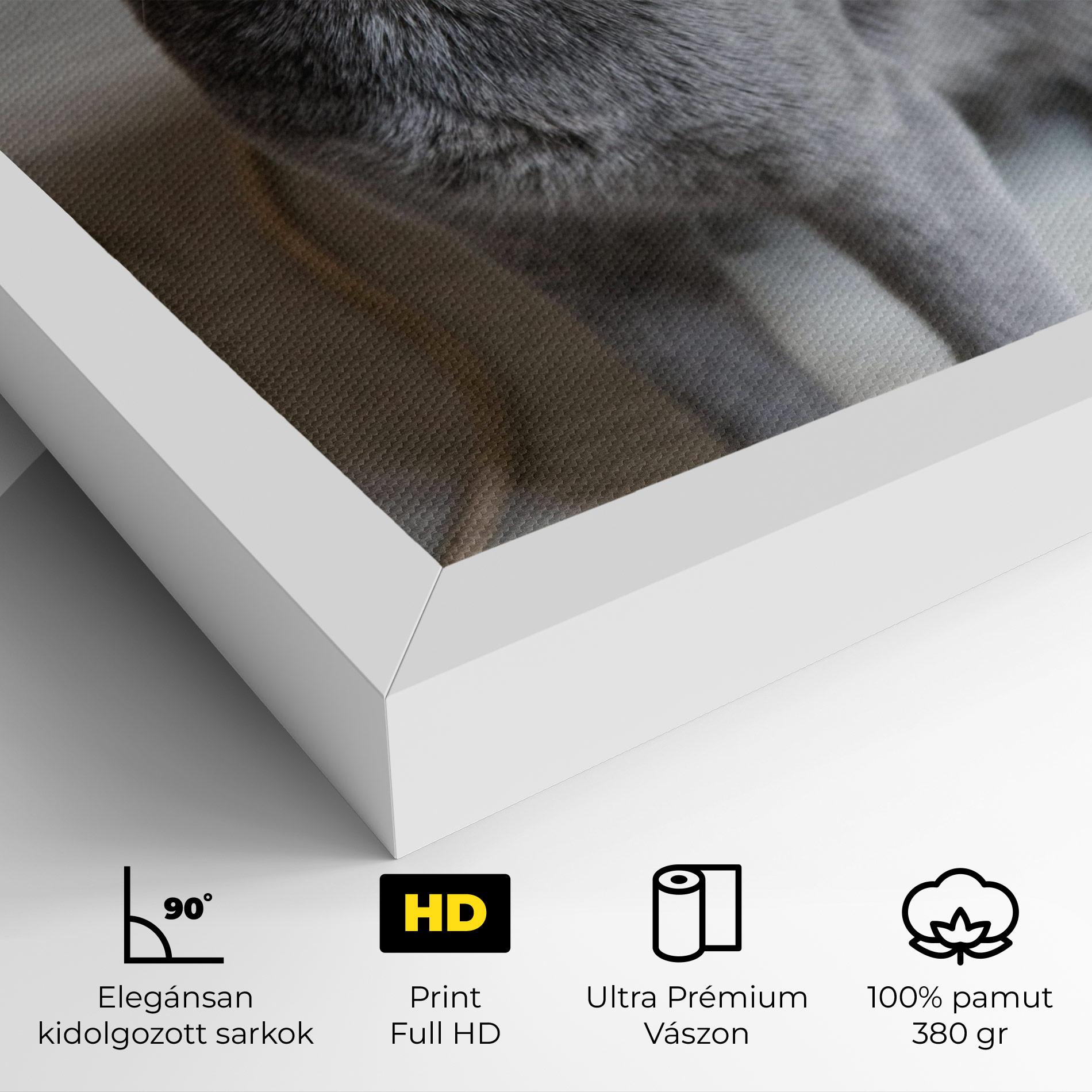 Vászonkép Grey Green Cat Eyes mockup 4