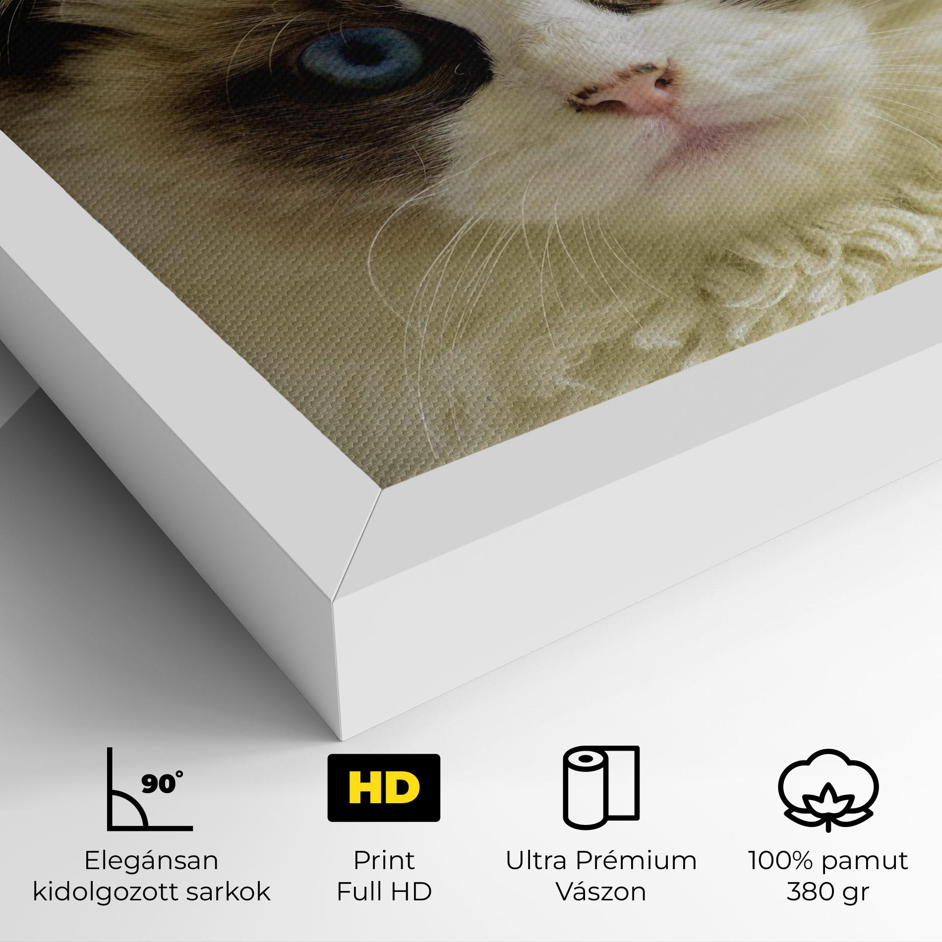 Vászonkép Interesting Blue Eyes Cat mockup 4