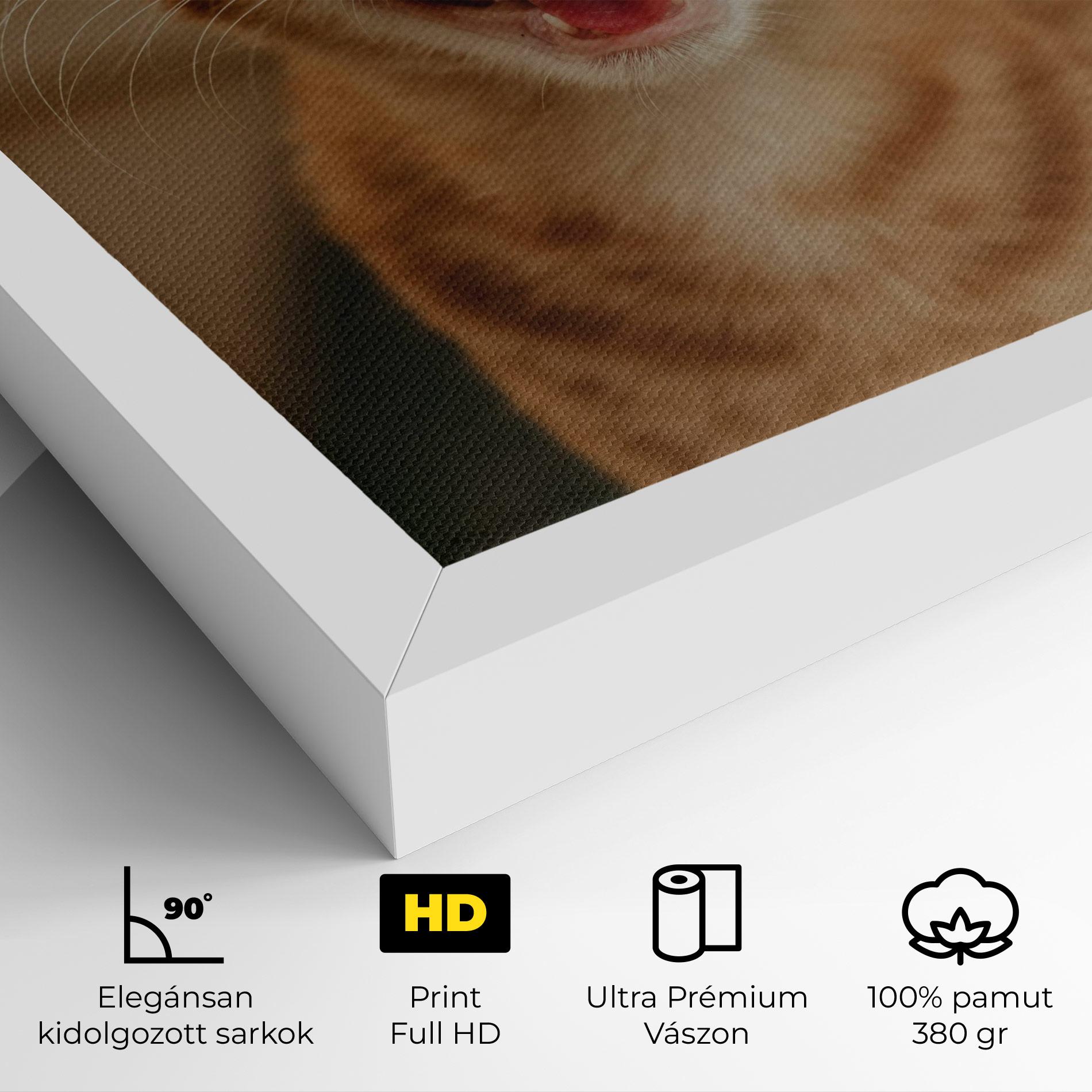 Vászonkép Orange Cat Smiling mockup 4