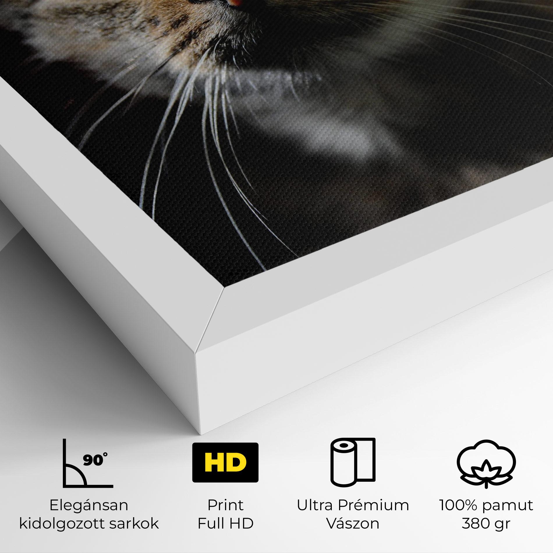 Vászonkép Playful Cat mockup 4