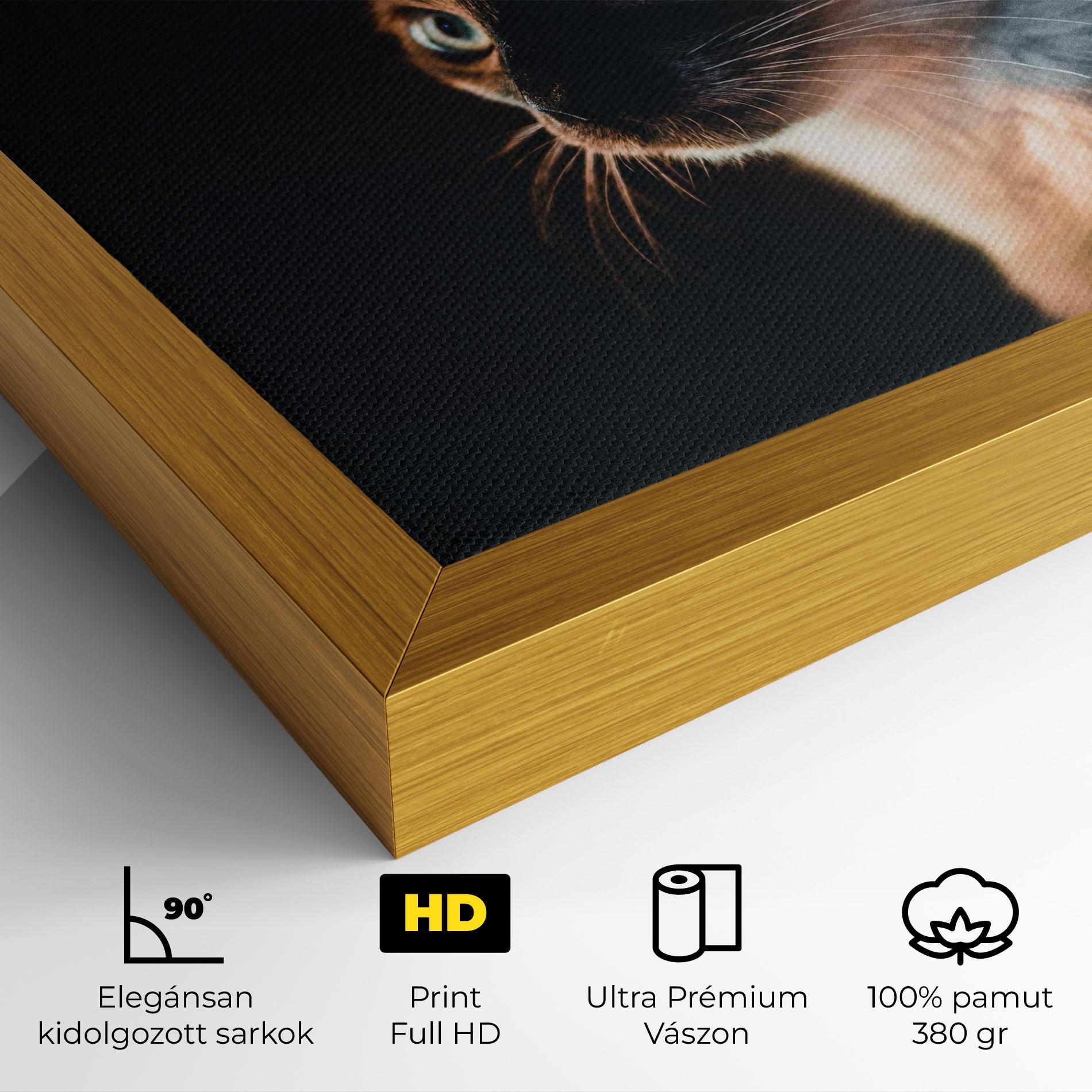 Vászonkép Blue Eyes Cat In Dark mockup 4