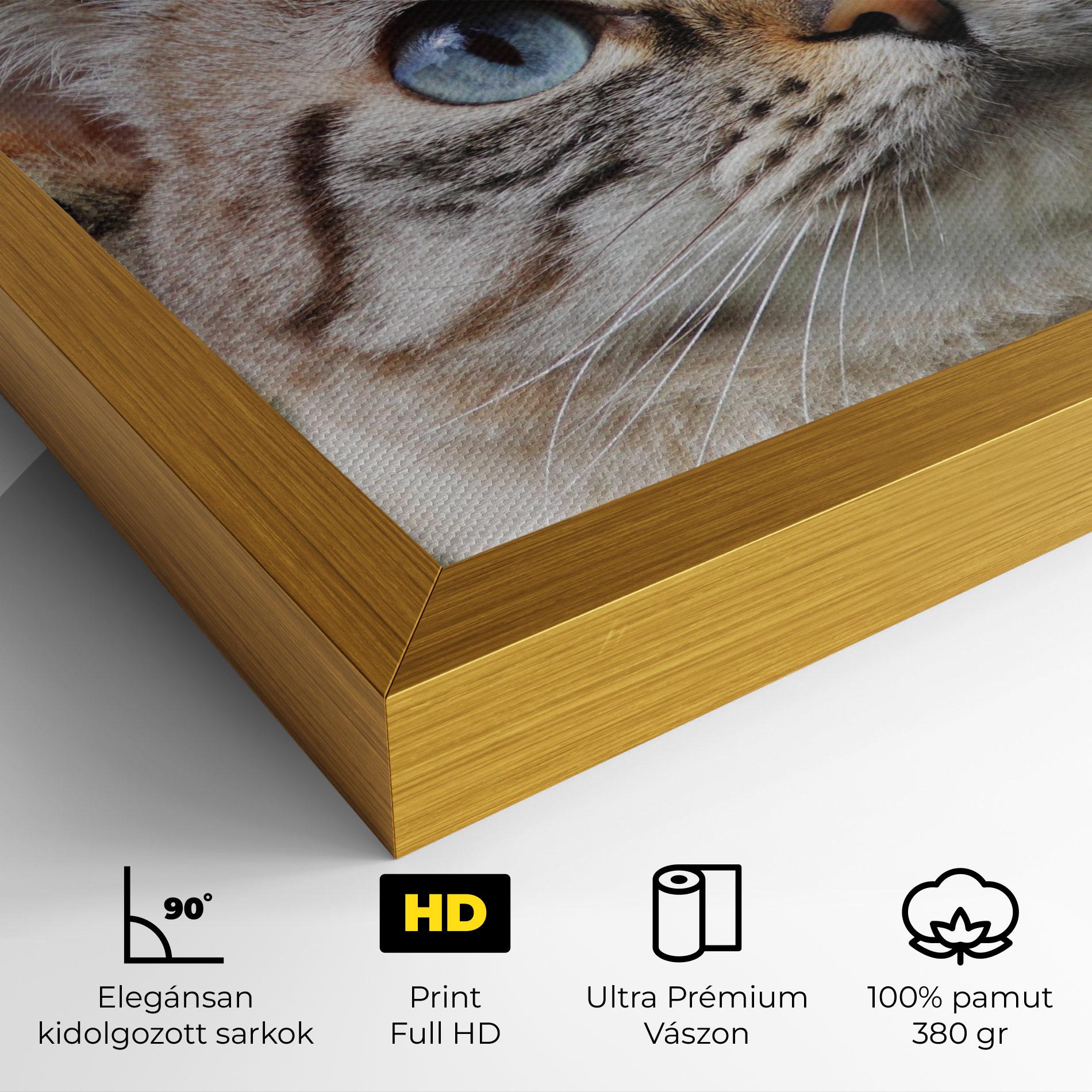 Vászonkép Blue Eyes Cutie mockup 4