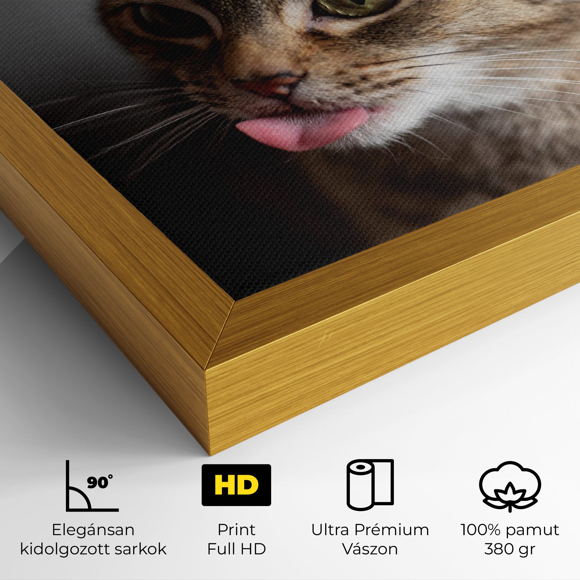 Brown Green Eyes Cat mockup 4