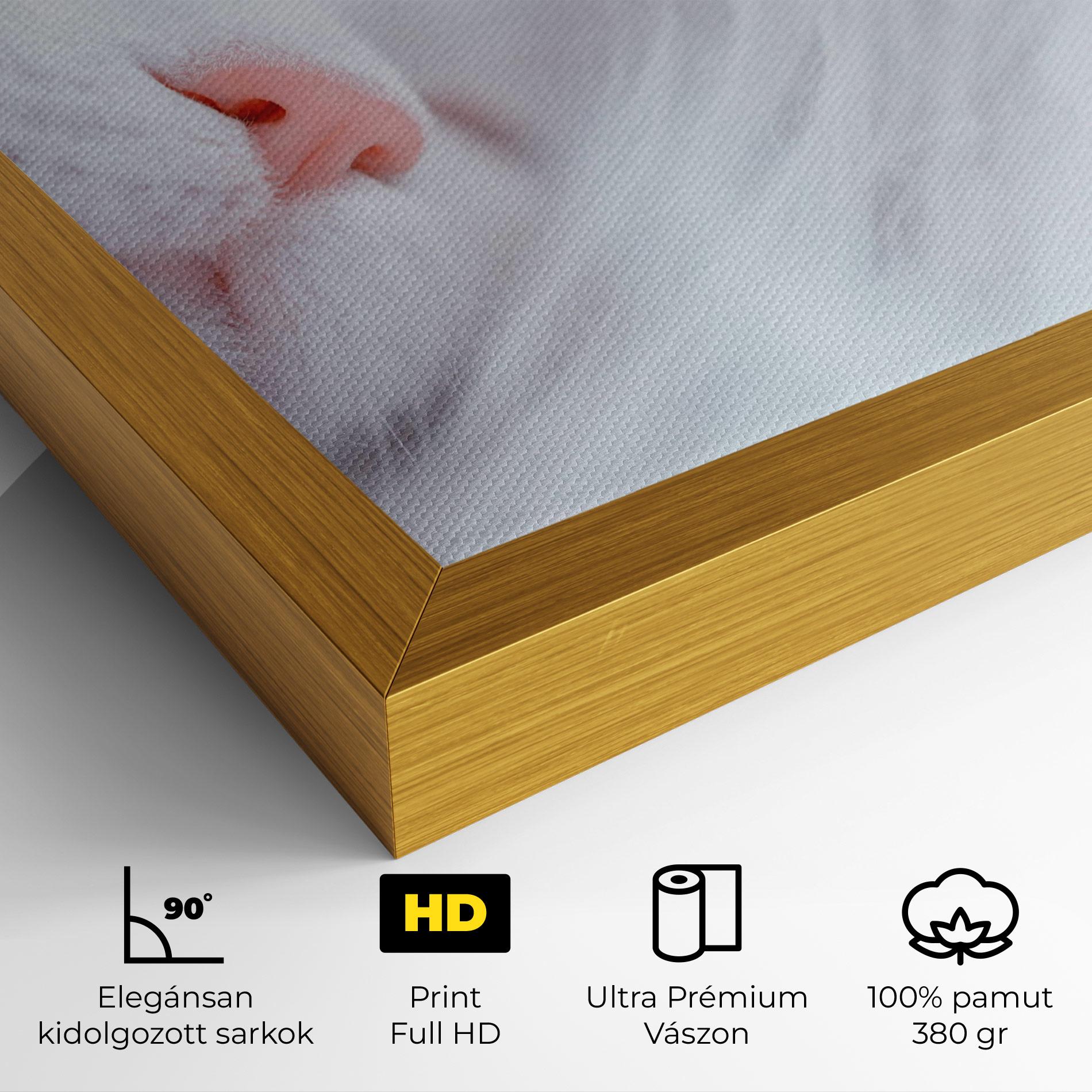 Vászonkép Dreamy White Cat mockup 4