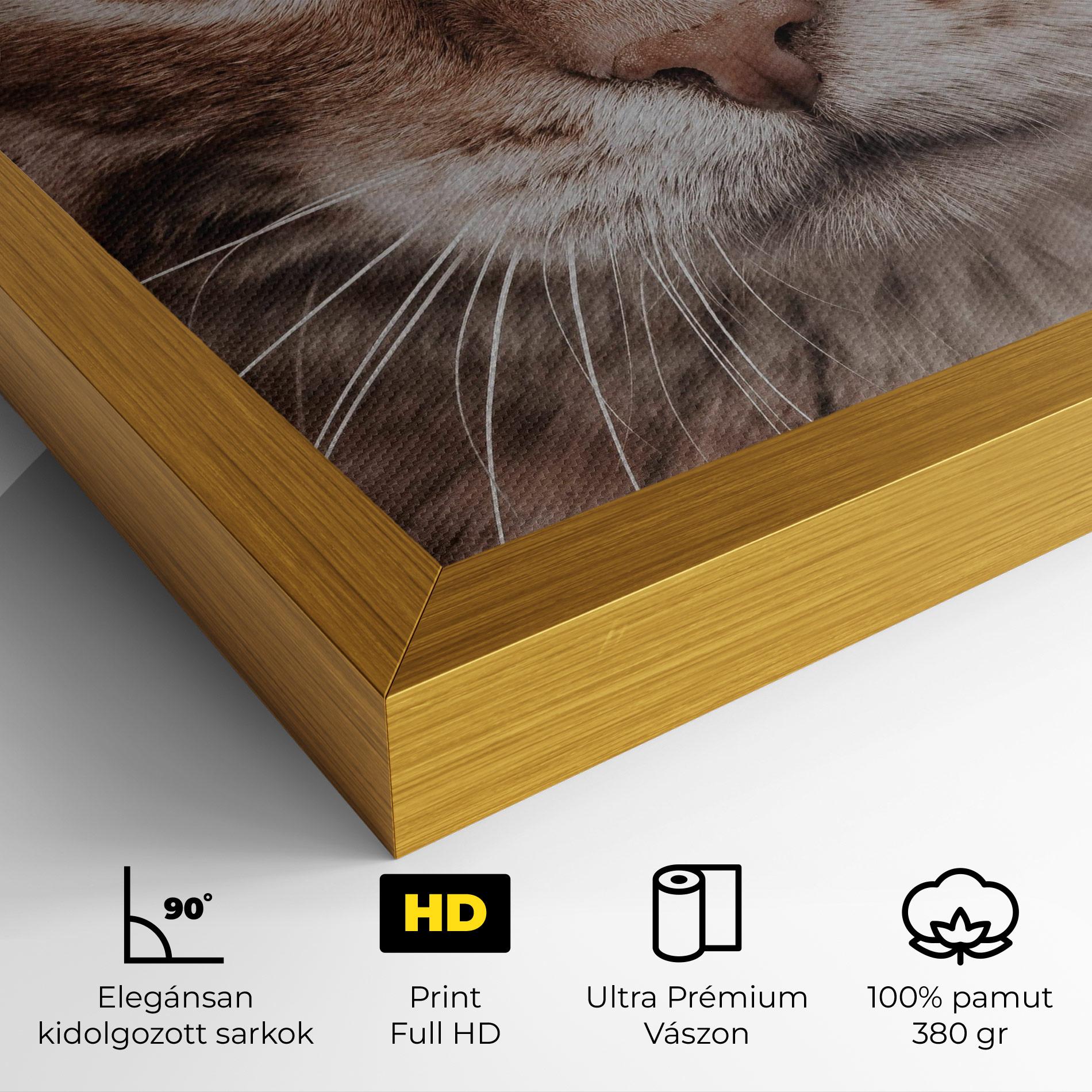 Vászonkép Fire Eyes Cat mockup 4