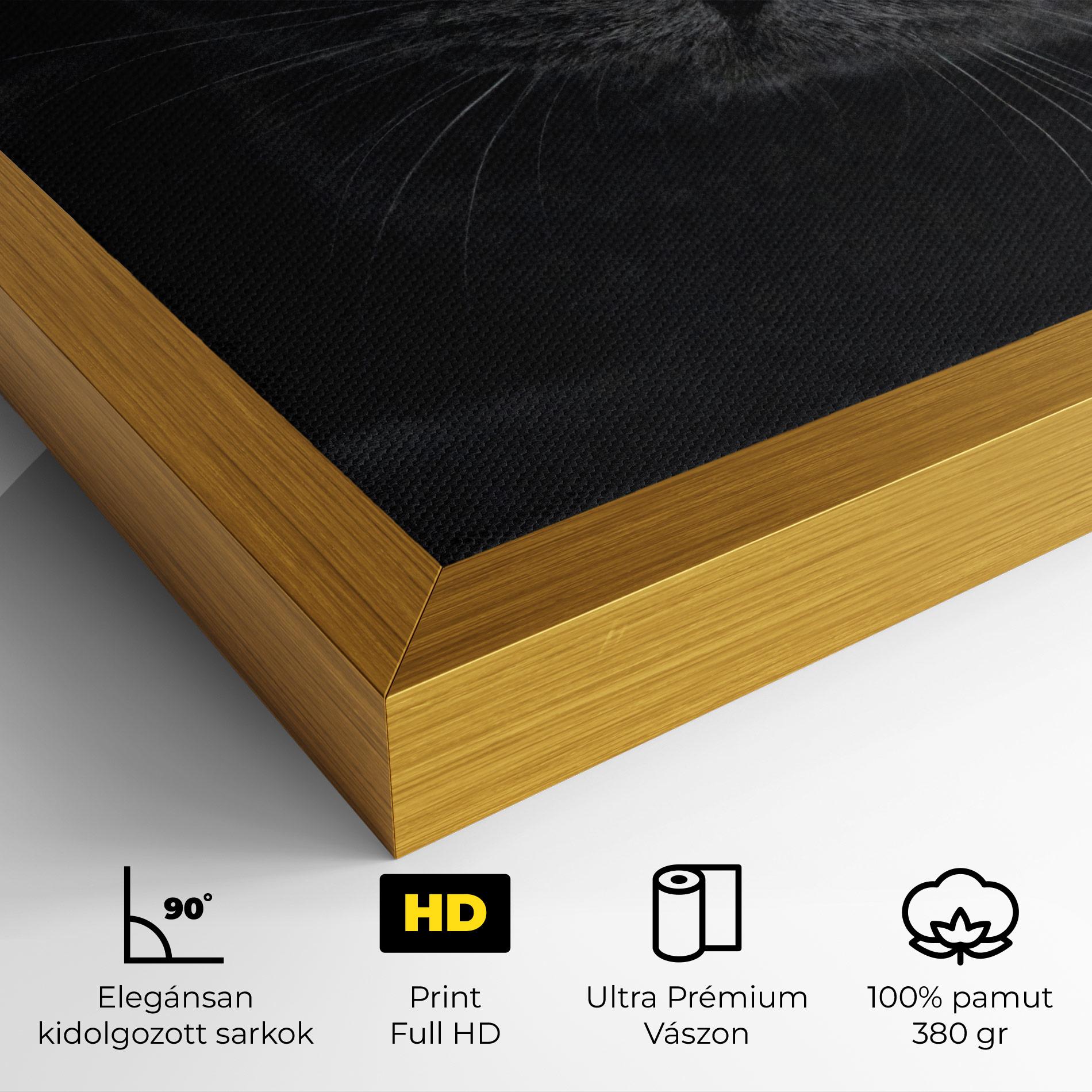 Vászonkép Grey Cat With Orange Eyes mockup 4