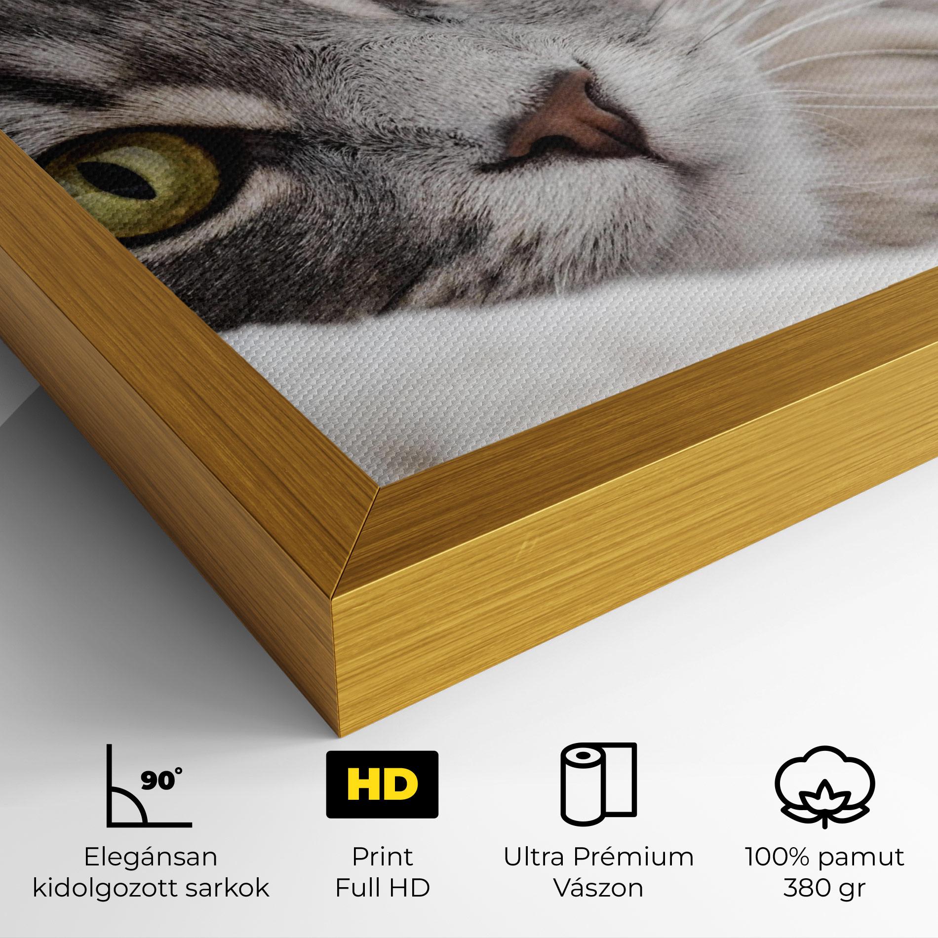 Vászonkép Grey Fluffy Cat mockup 4