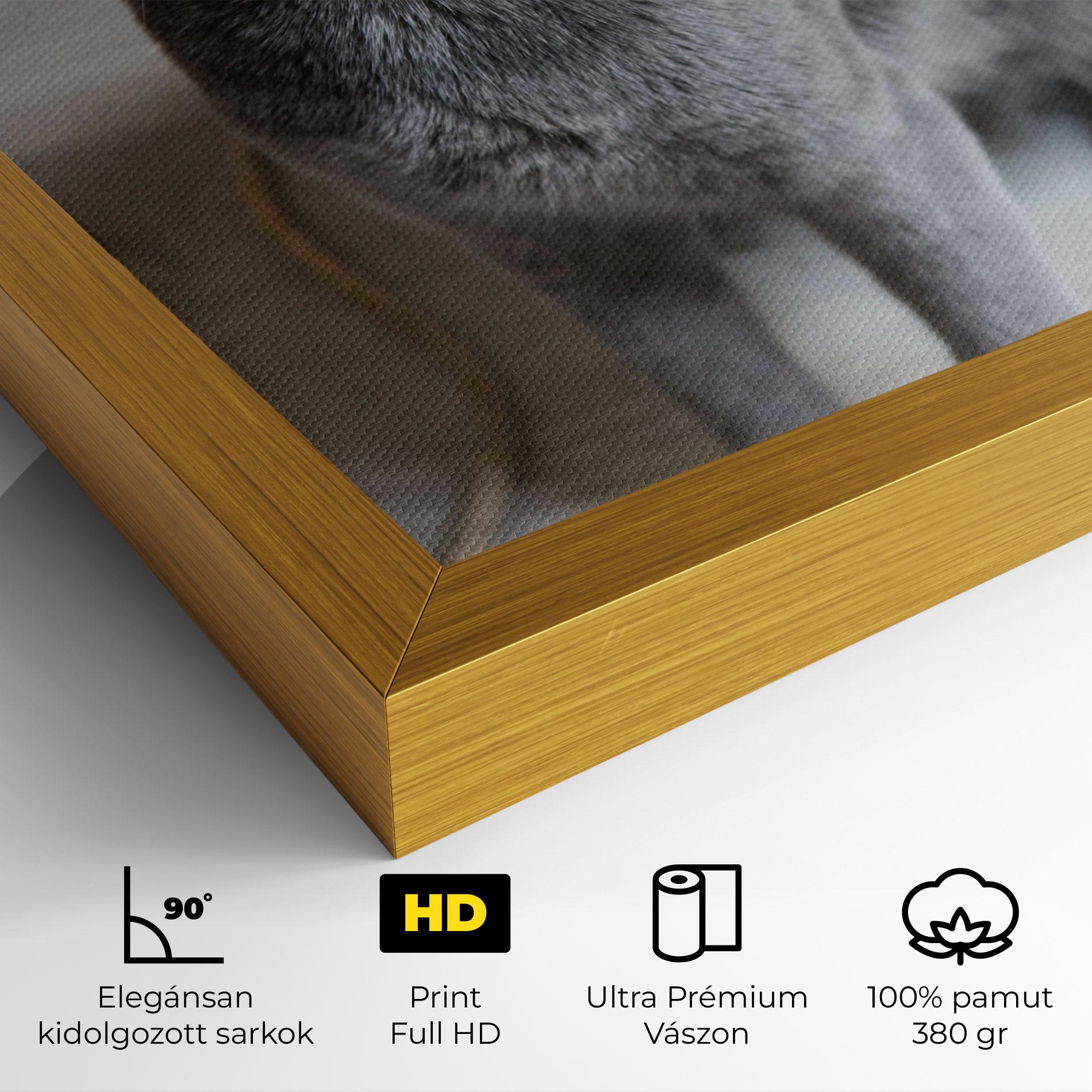 Vászonkép Grey Green Cat Eyes mockup 4