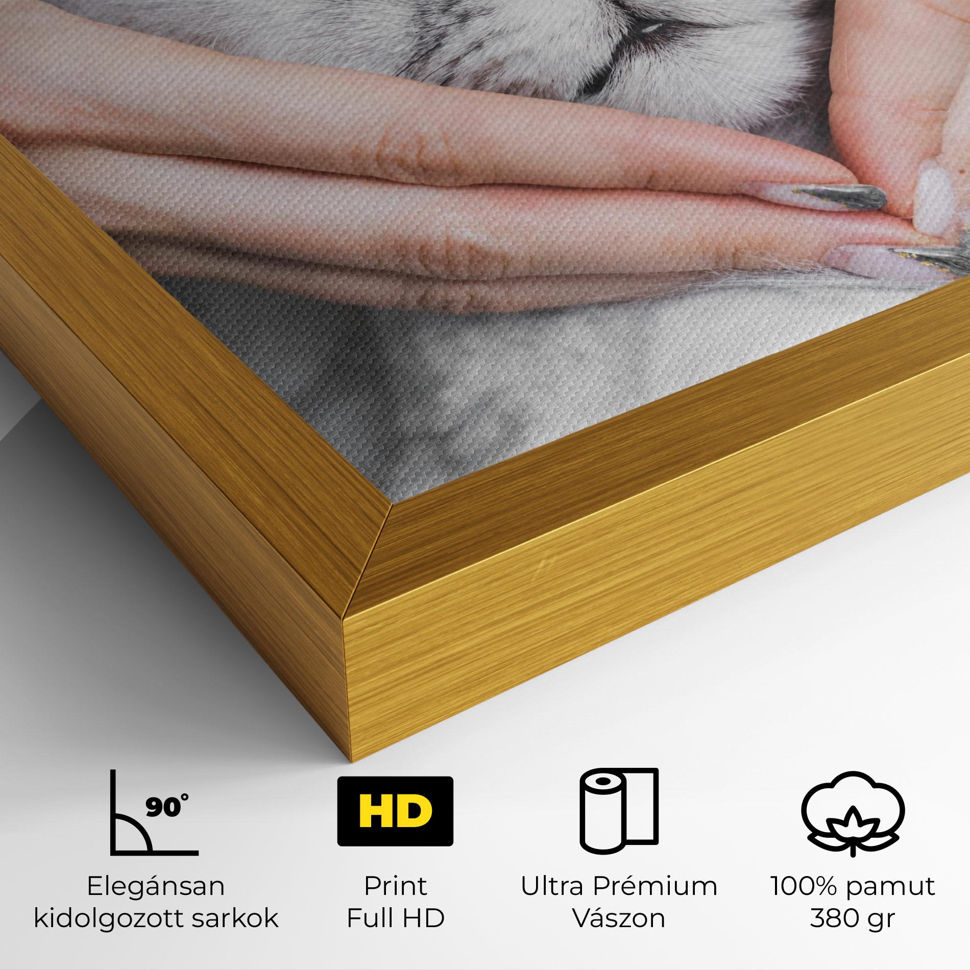 Vászonkép Lovely Cat mockup 4
