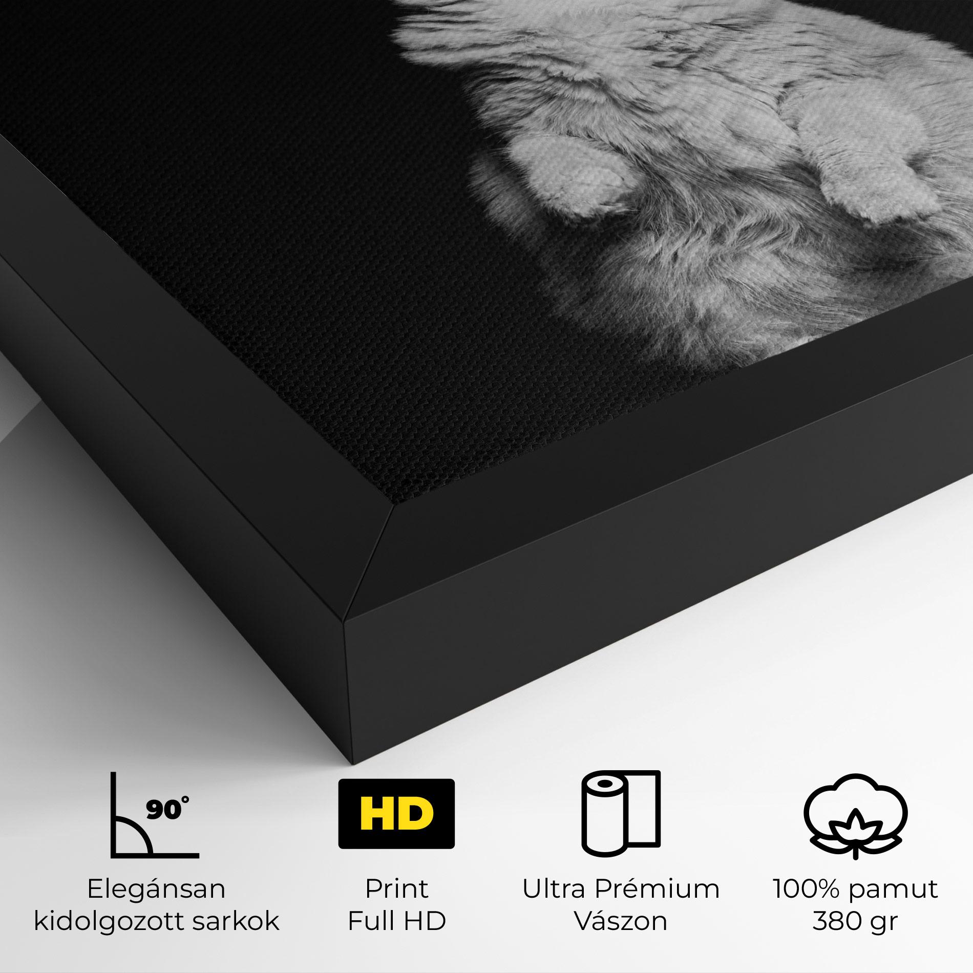 Vászonkép Big Fluffy Cat mockup 4