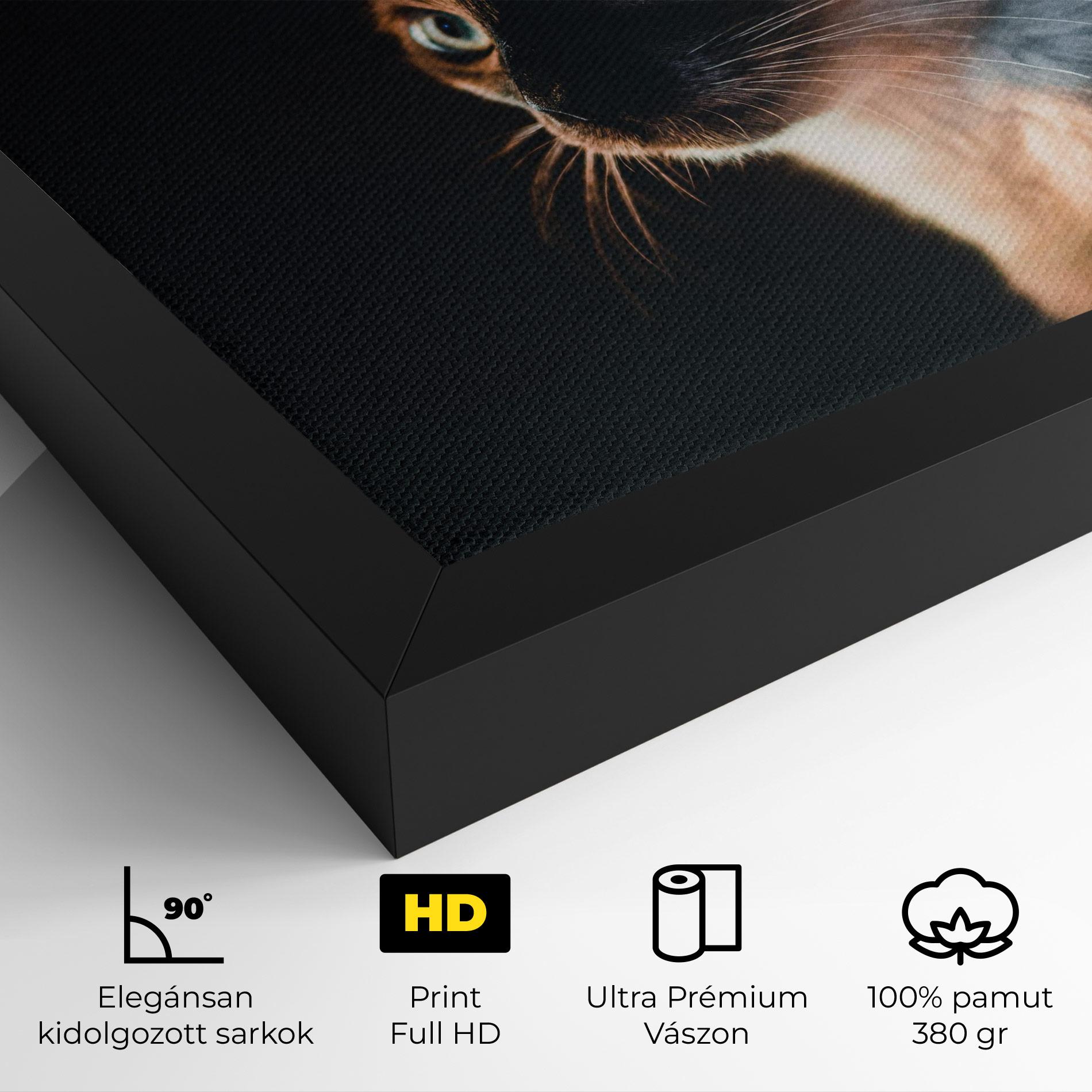 Vászonkép Blue Eyes Cat In Dark mockup 4