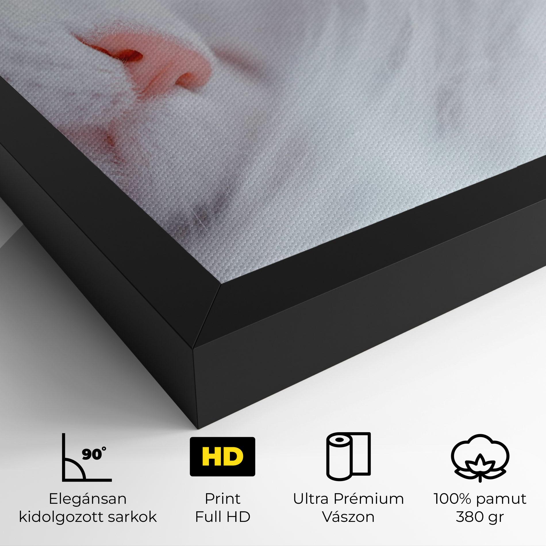 Vászonkép Dreamy White Cat mockup 4