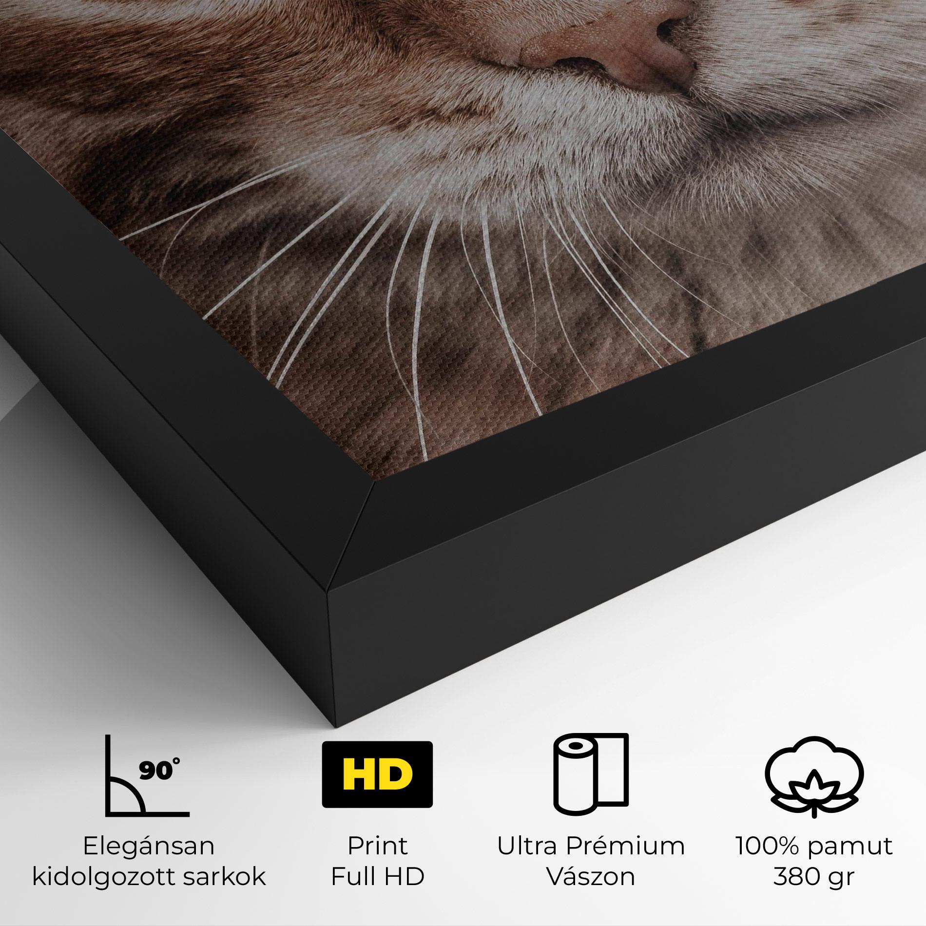 Vászonkép Fire Eyes Cat mockup 4