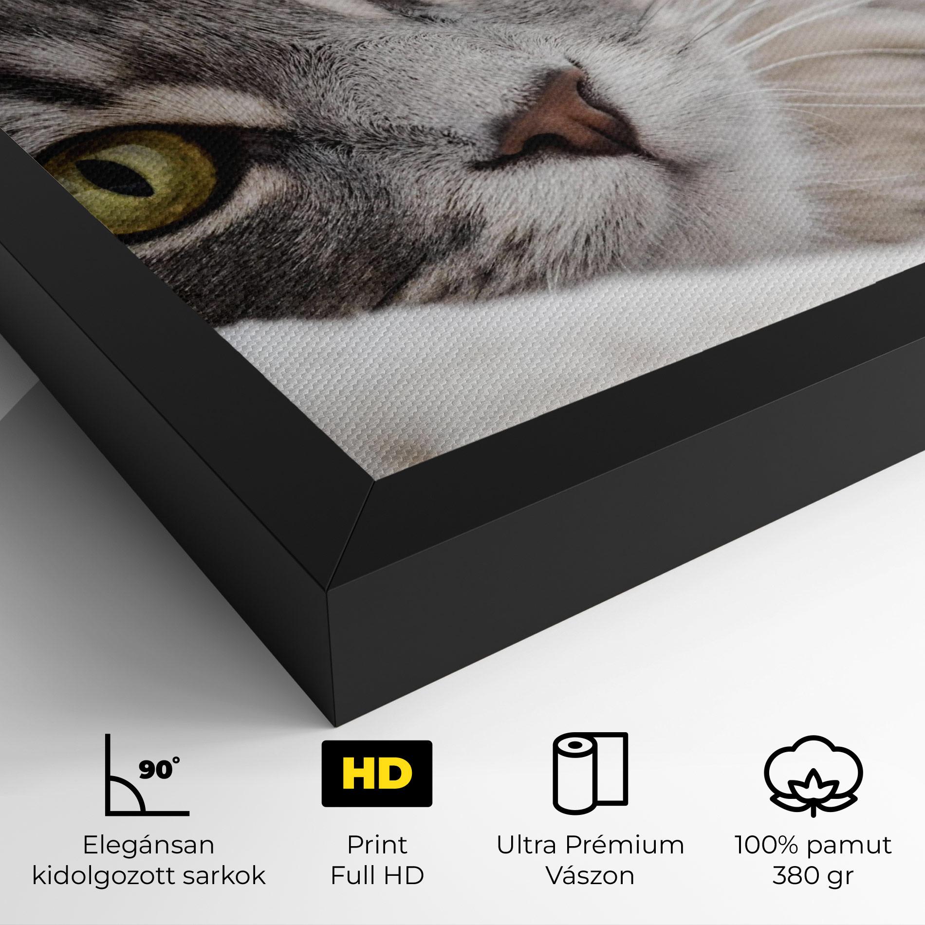 Vászonkép Grey Fluffy Cat mockup 4