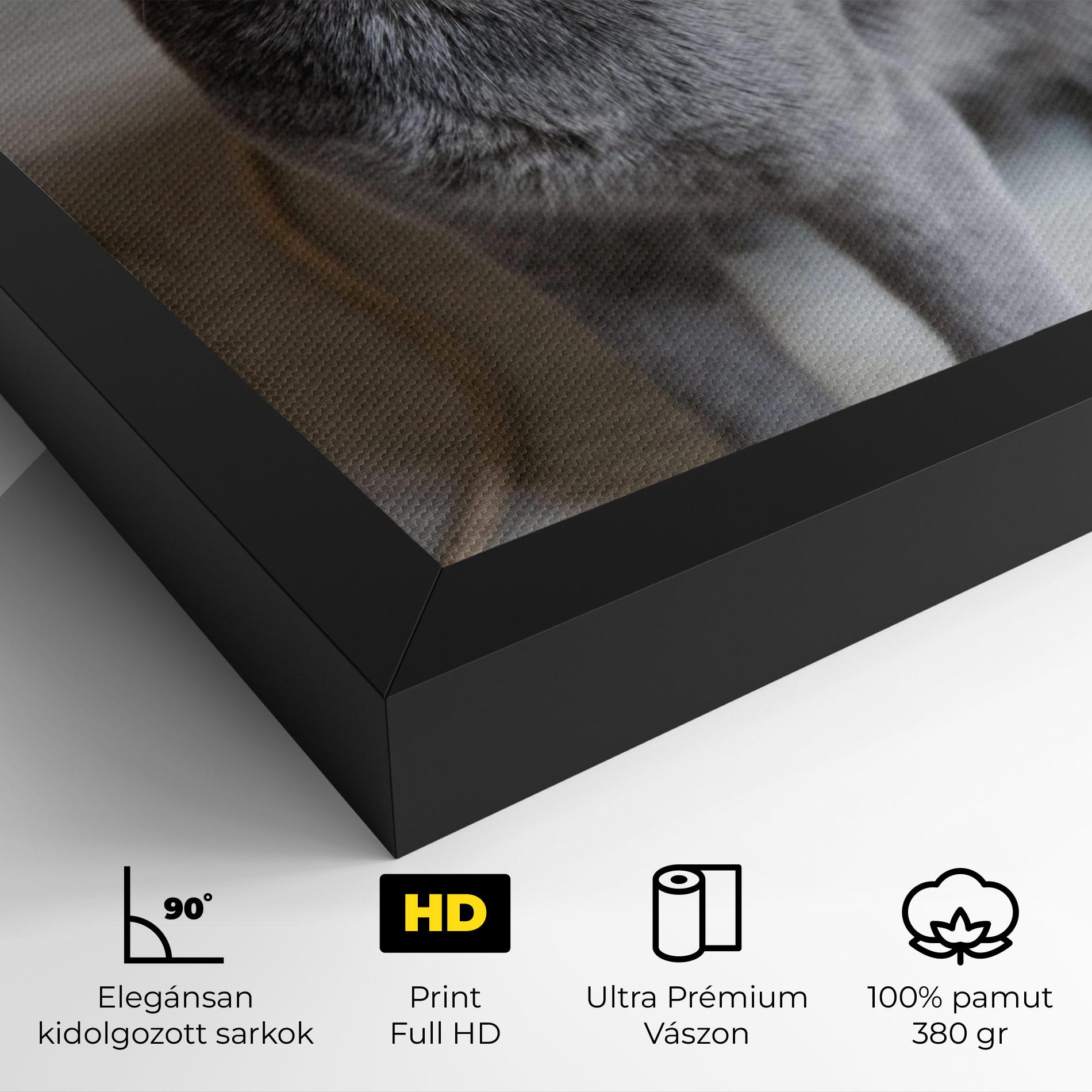 Vászonkép Grey Green Cat Eyes mockup 4
