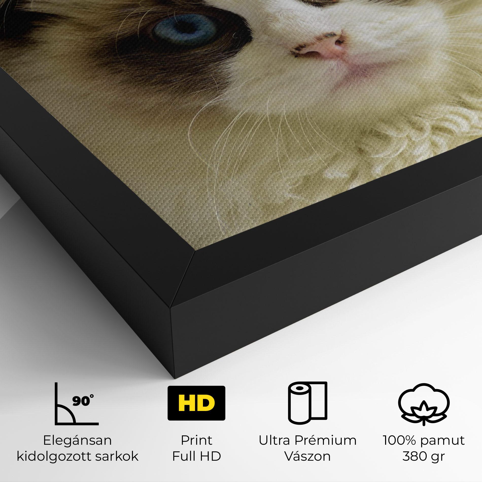 Vászonkép Interesting Blue Eyes Cat mockup 4