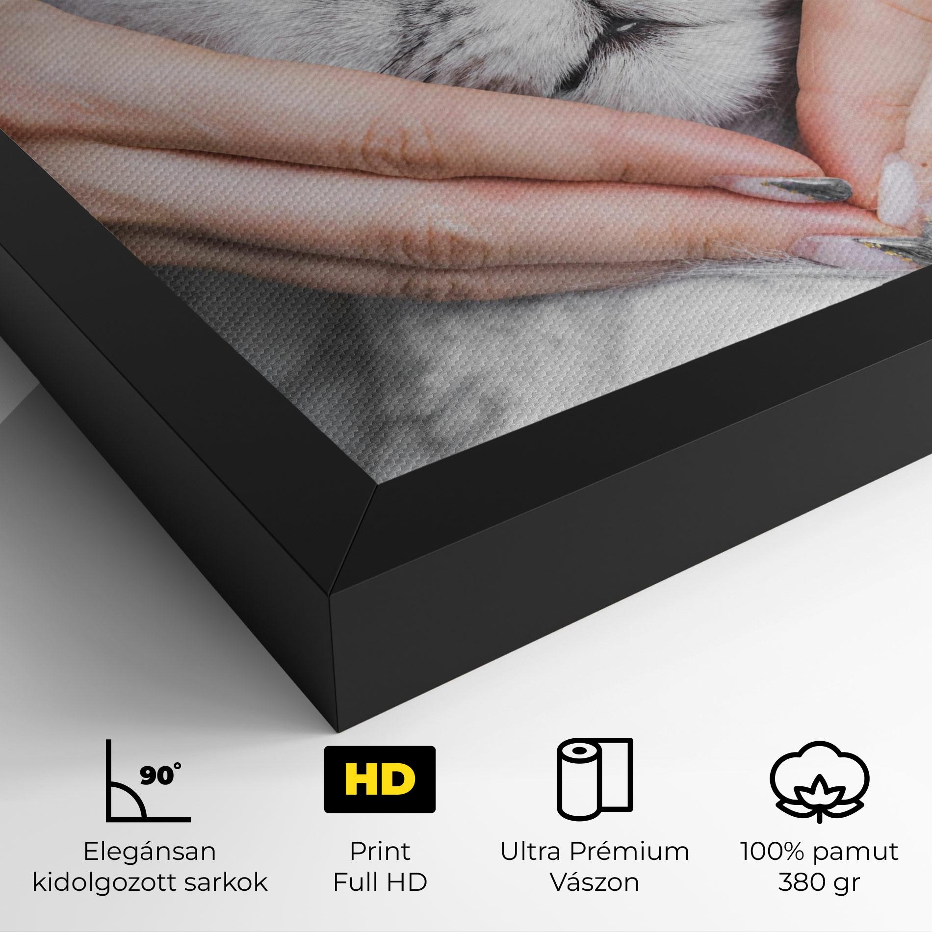 Vászonkép Lovely Cat mockup 4